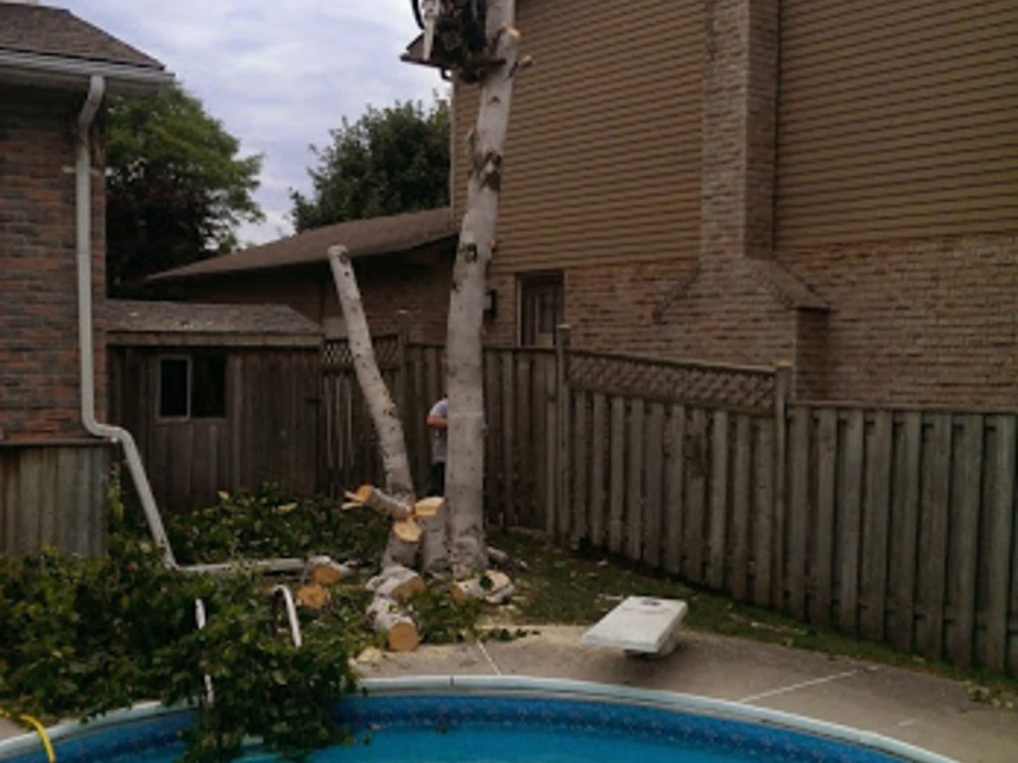 photo Clear View Tree Service