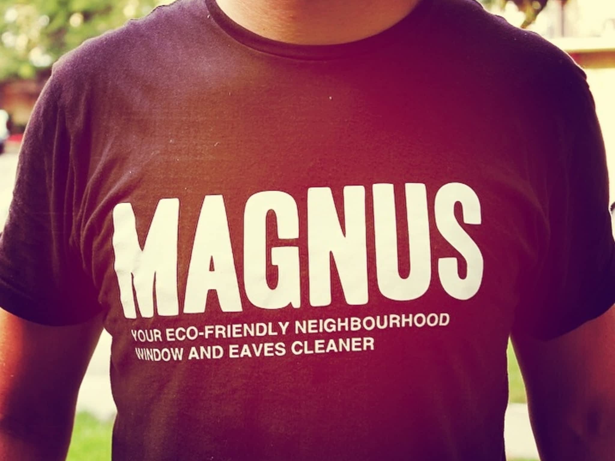 photo Magnus Cleaning