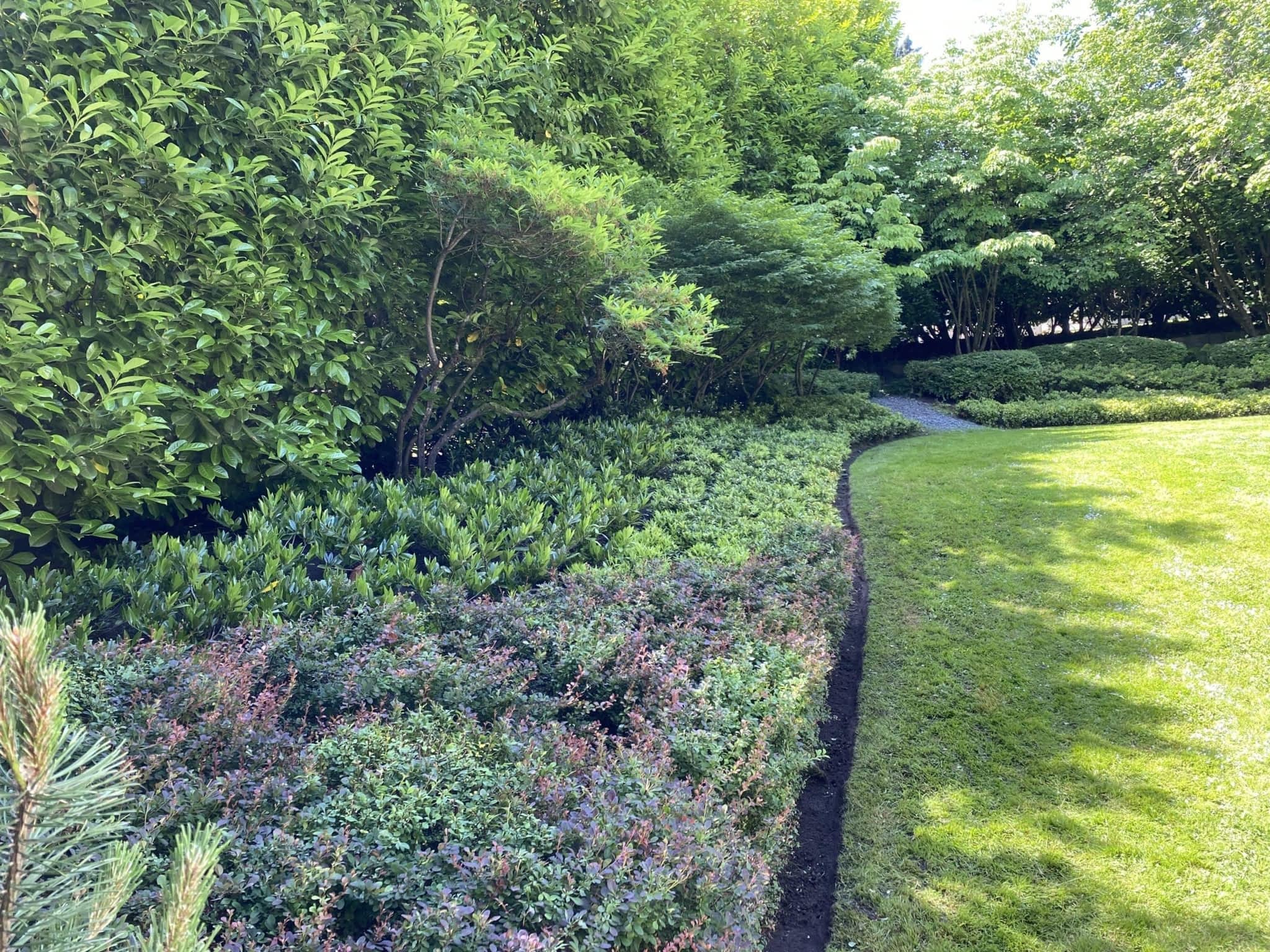 photo Markham Landscaping Services