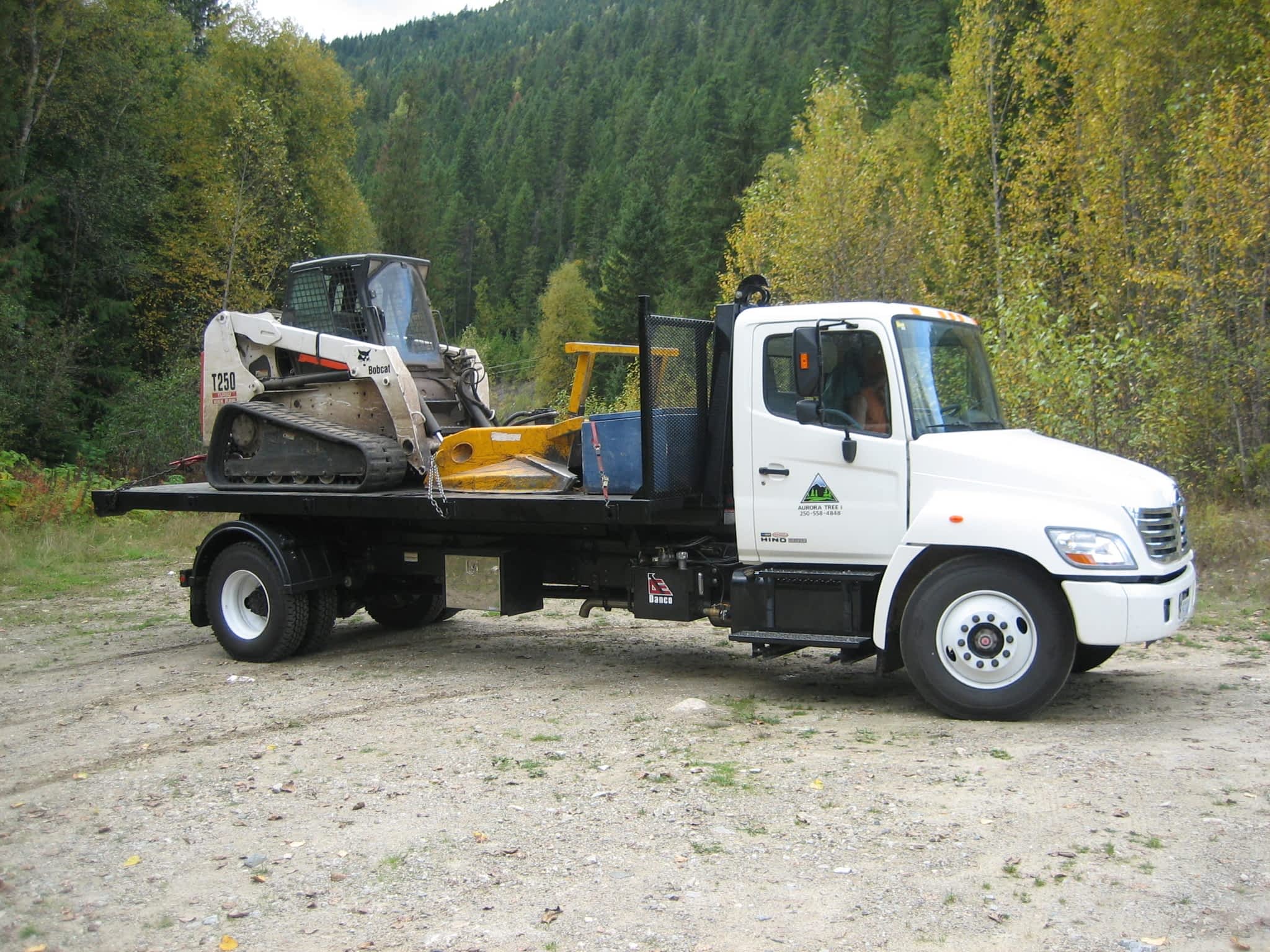 photo Aurora Tree Inc