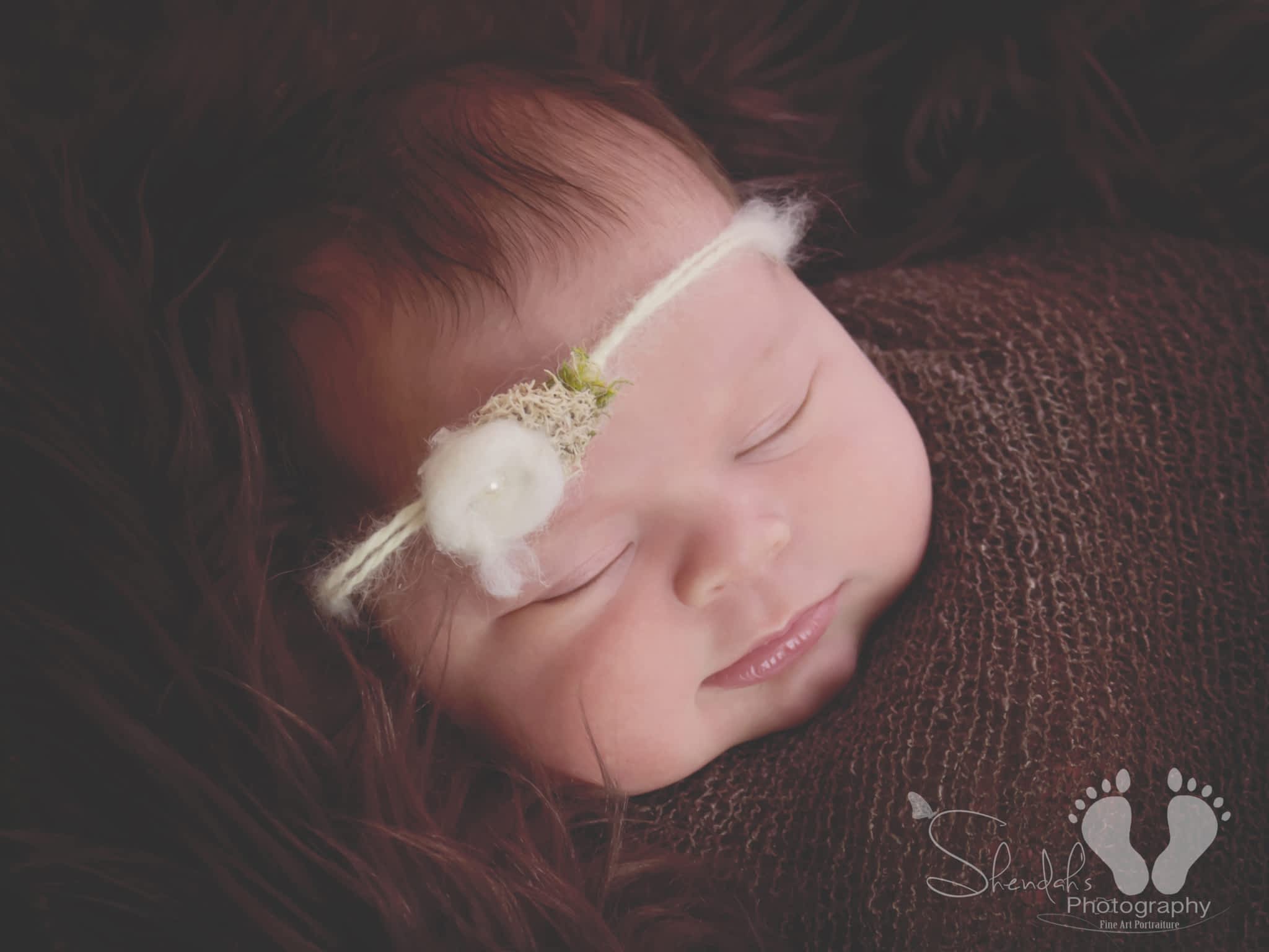 photo Shendah's Photography - Newborn & Family Photography