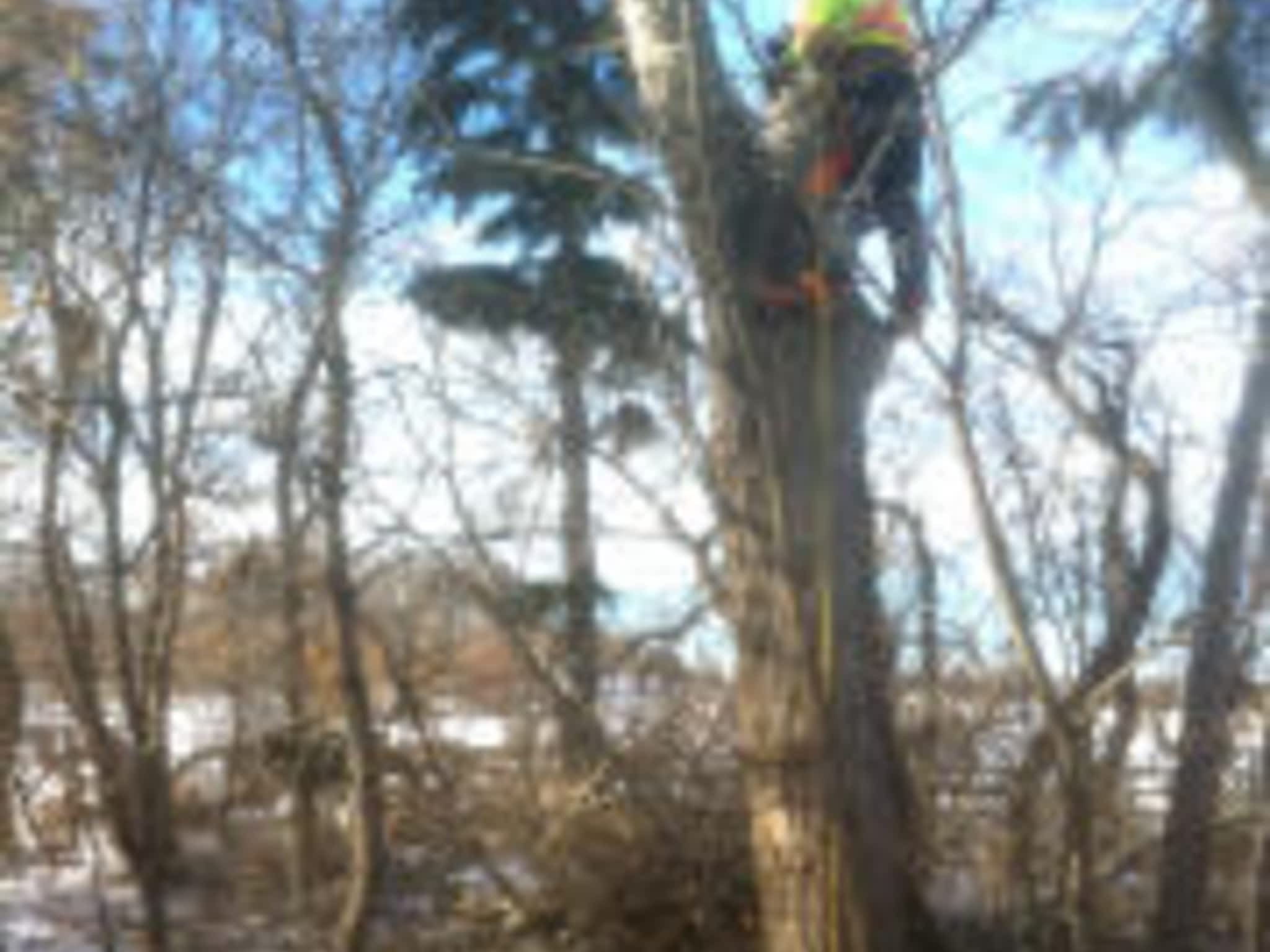 photo Saws'n Ladders