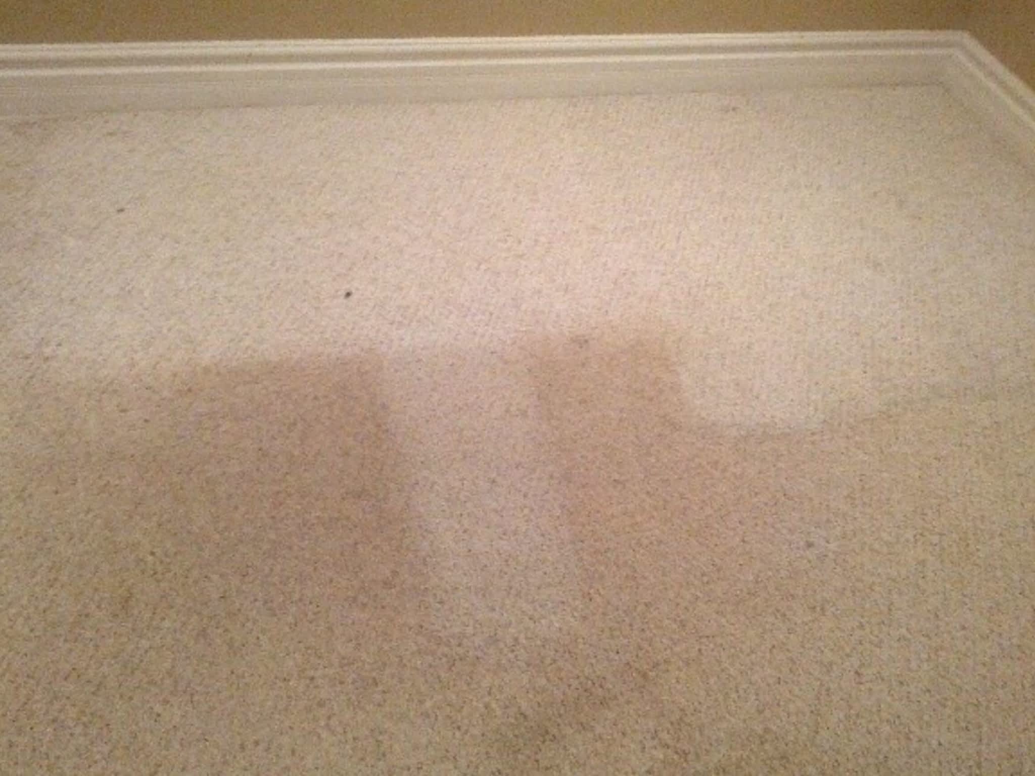 photo Johnny Steamer Carpet Cleaner