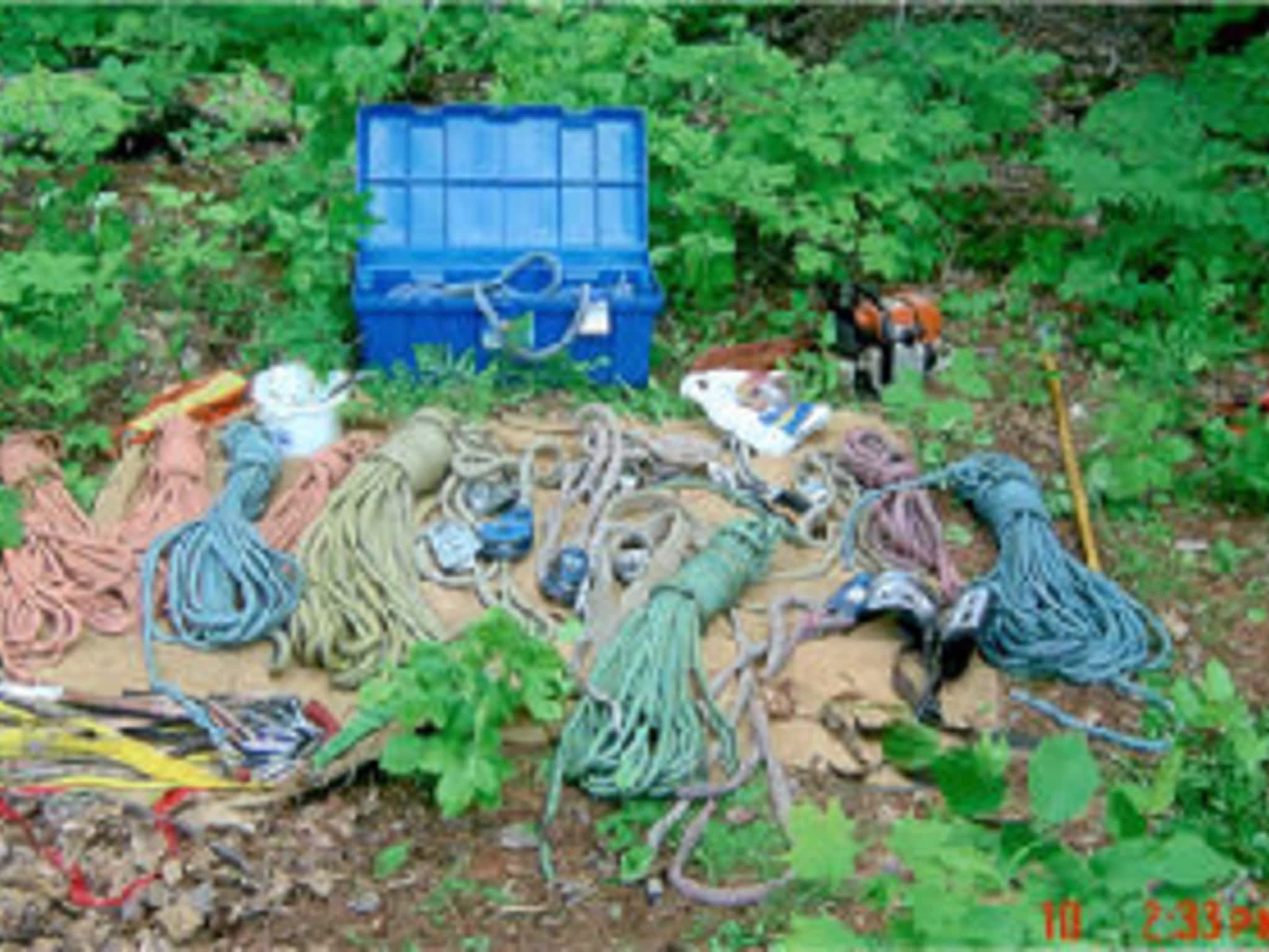 photo AAA Tree Service