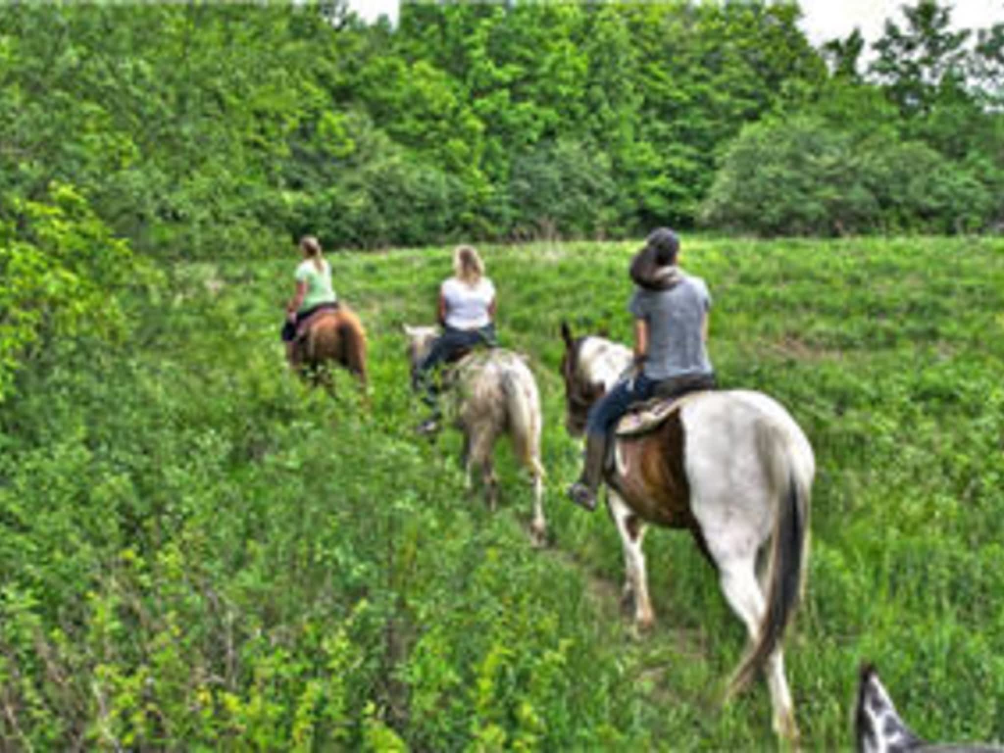 photo Big Creek Stables