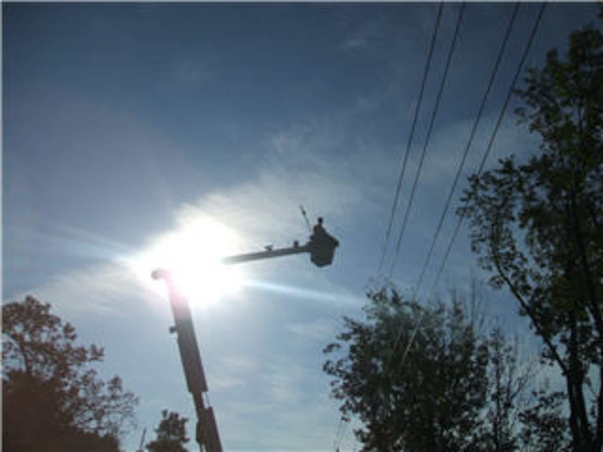 photo Quality Tree Service