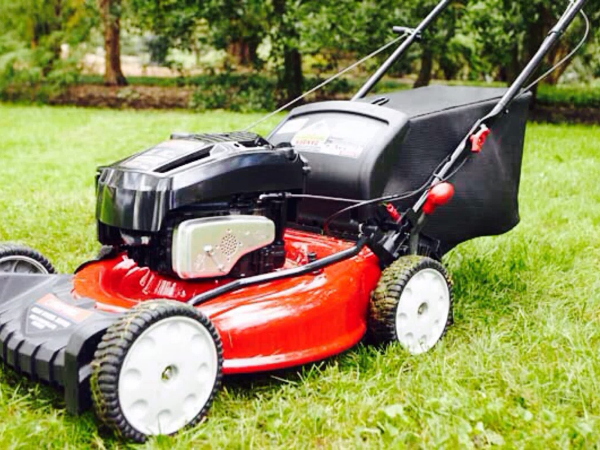 photo We Cut For You