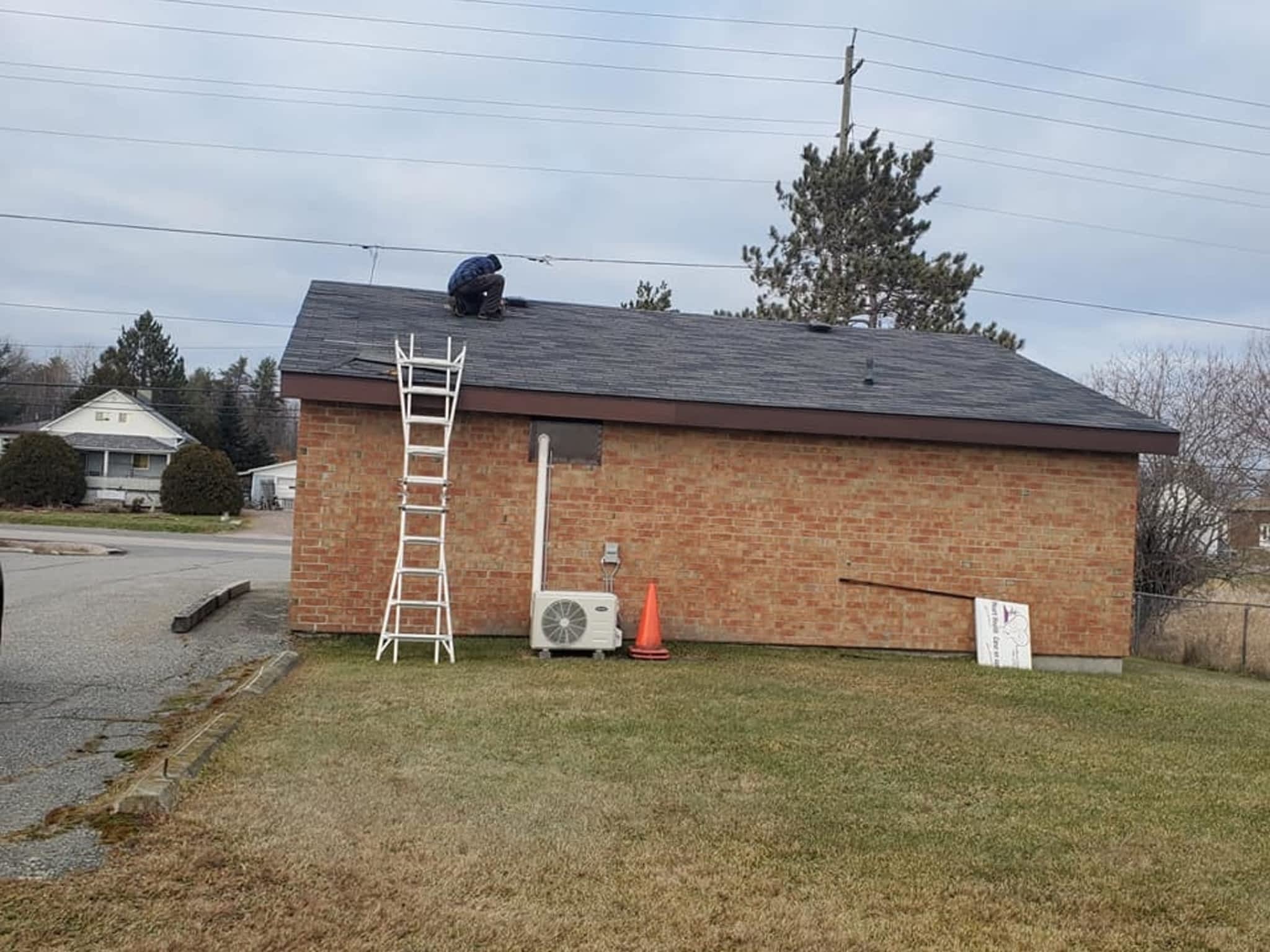 photo Gray Wolves Contracting