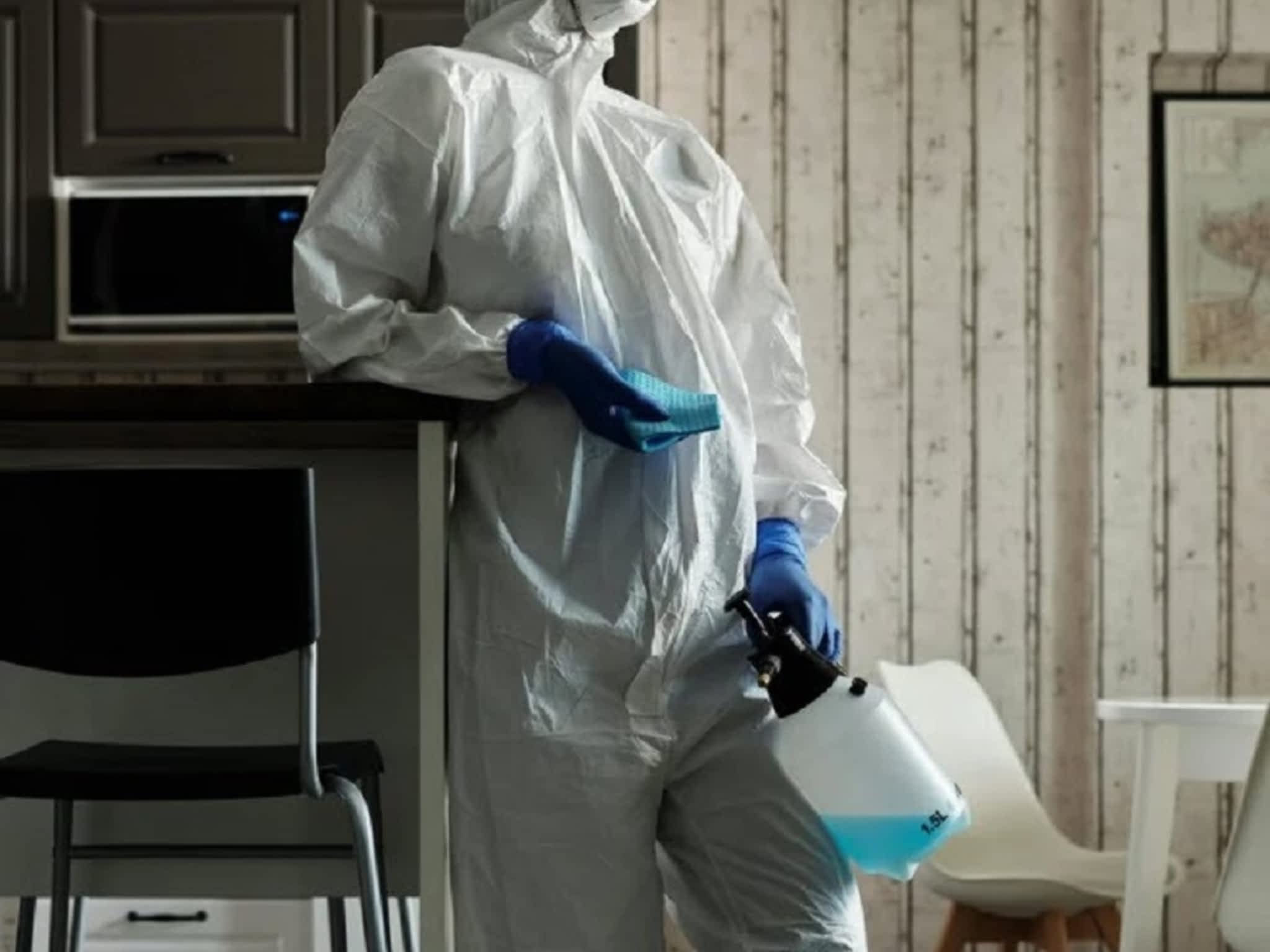 photo Éclair Extermination