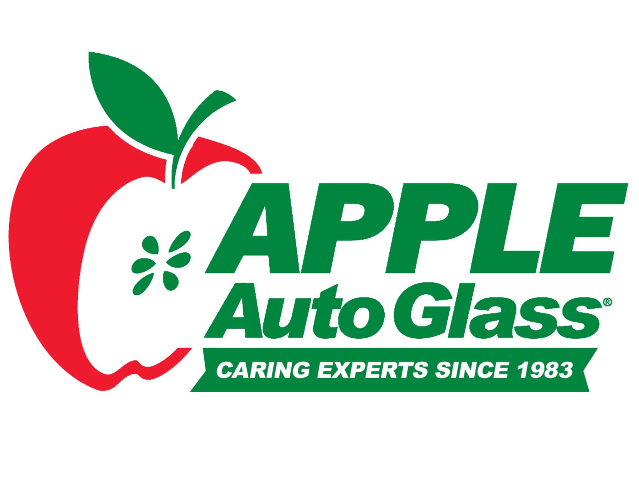 photo Apple Auto Glass Scarborough