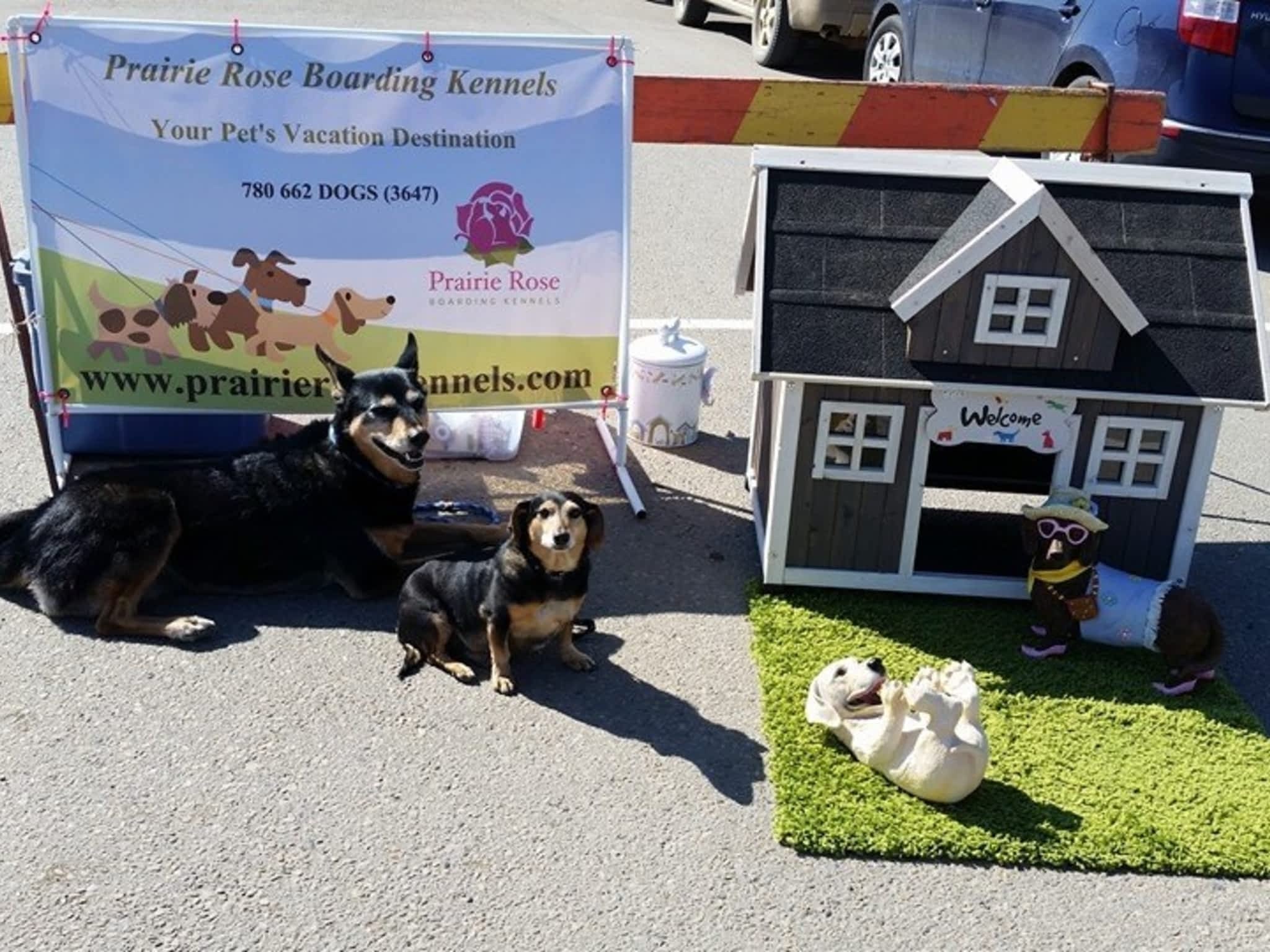 Prairie Rose Boarding Kennels Tofield, AB 19005 Twp Rd 520 Canpages
