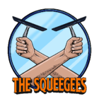 The Squeegees Window Cleaning - Lavage de vitres