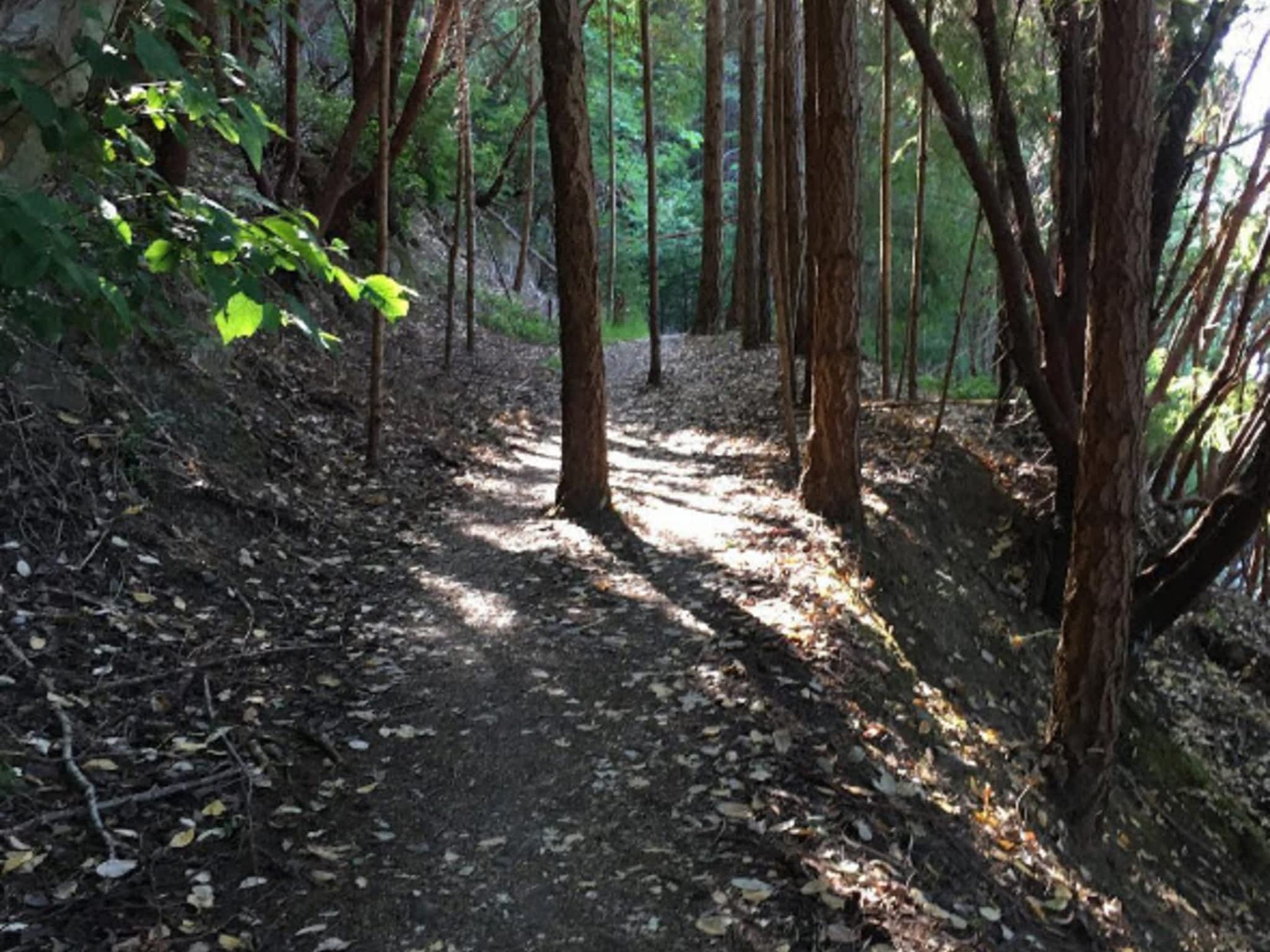 photo Cowichan Valley Running