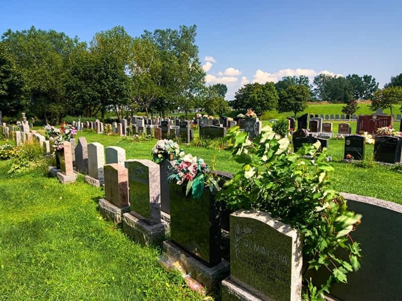 Complexes Funéraires Yves Légaré Longueuil, QC 2750 boul MarieVictorin Canpages Complexes Funéraires Yves Légaré Longueuil, QC 2750 boul MarieVictorin Canpages