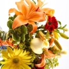 Brant Florist - Fleuristes et magasins de fleurs
