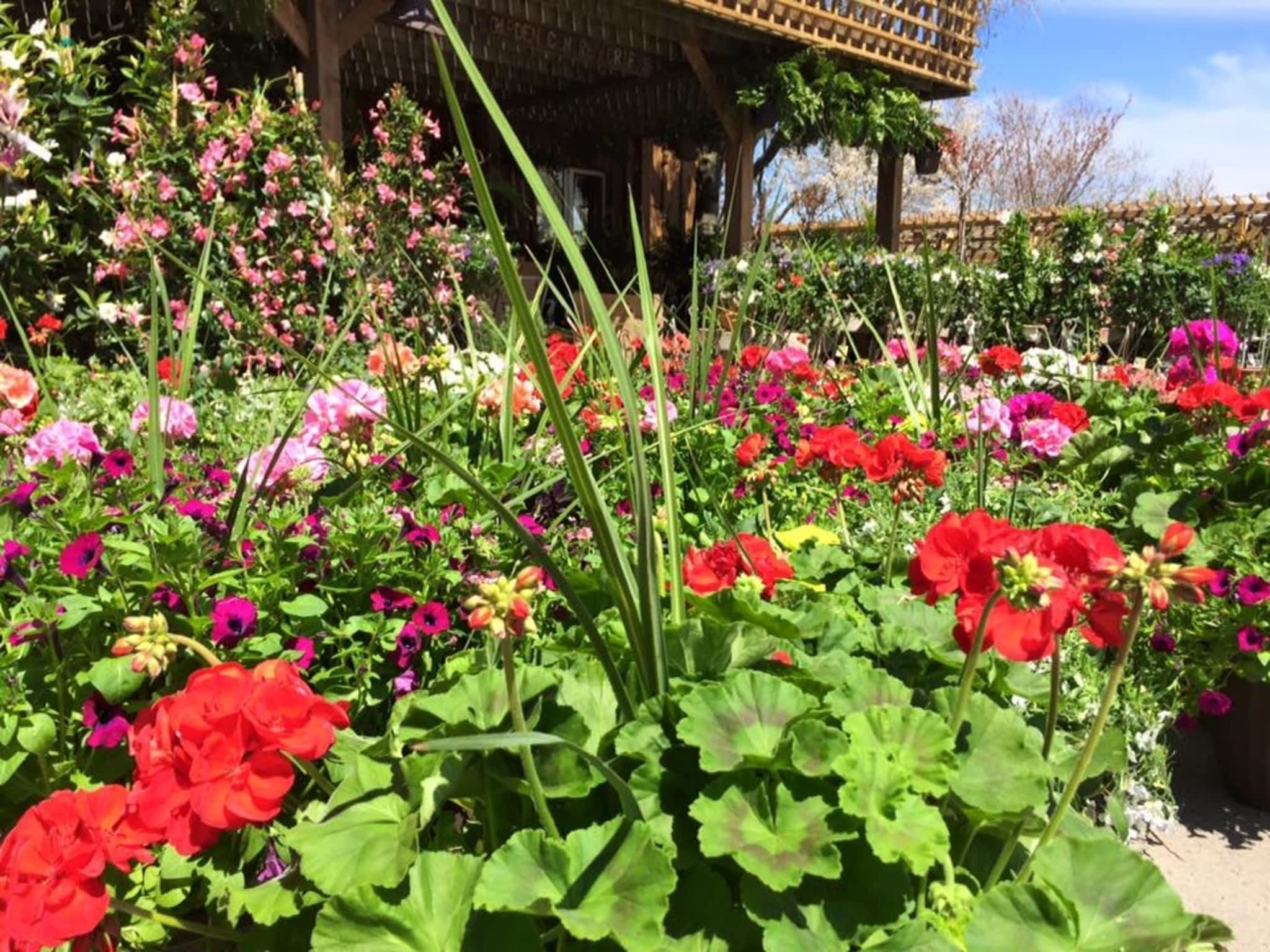 photo Gauld Nurseries Ltd