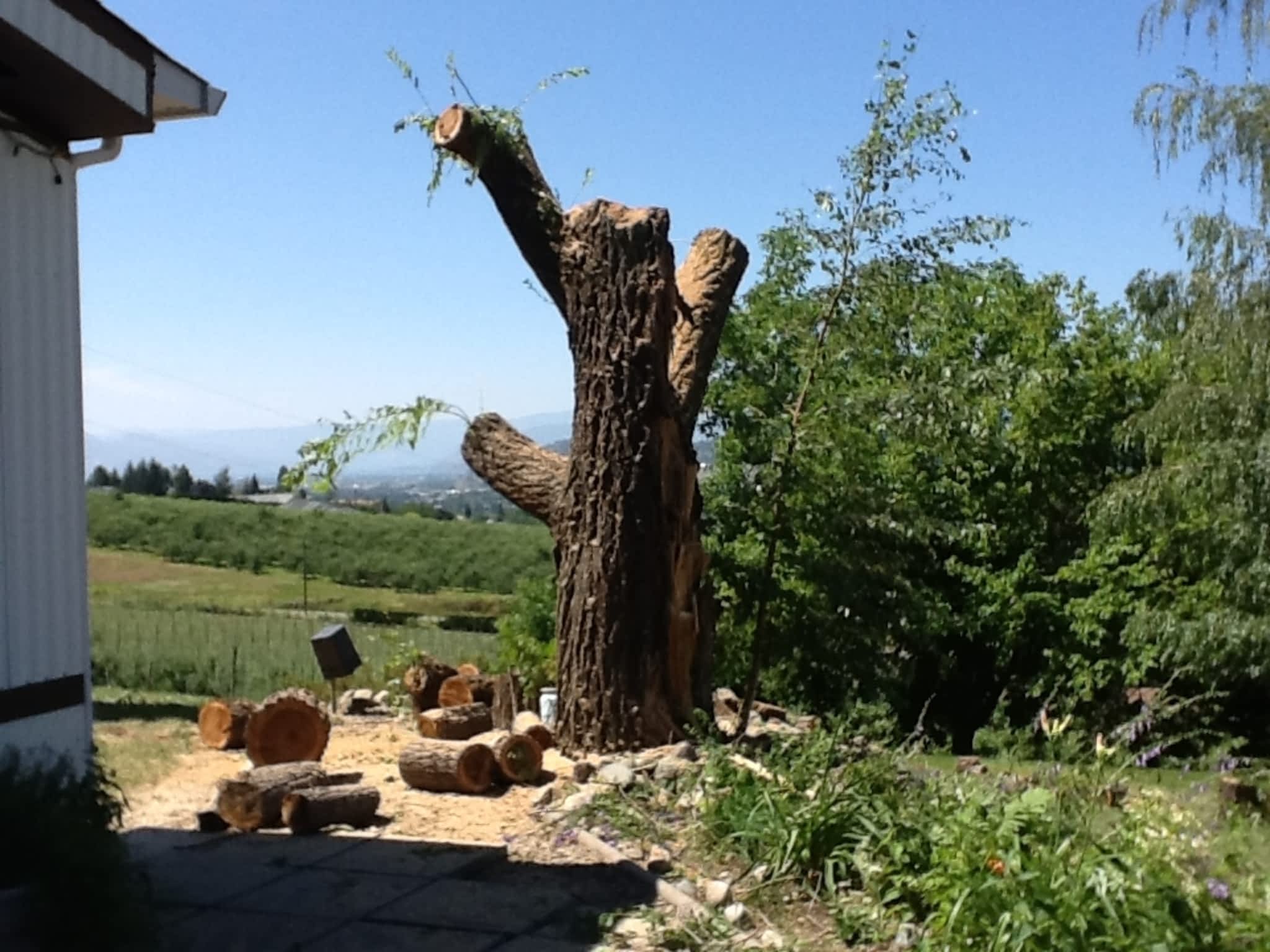 photo Wizard Contracting