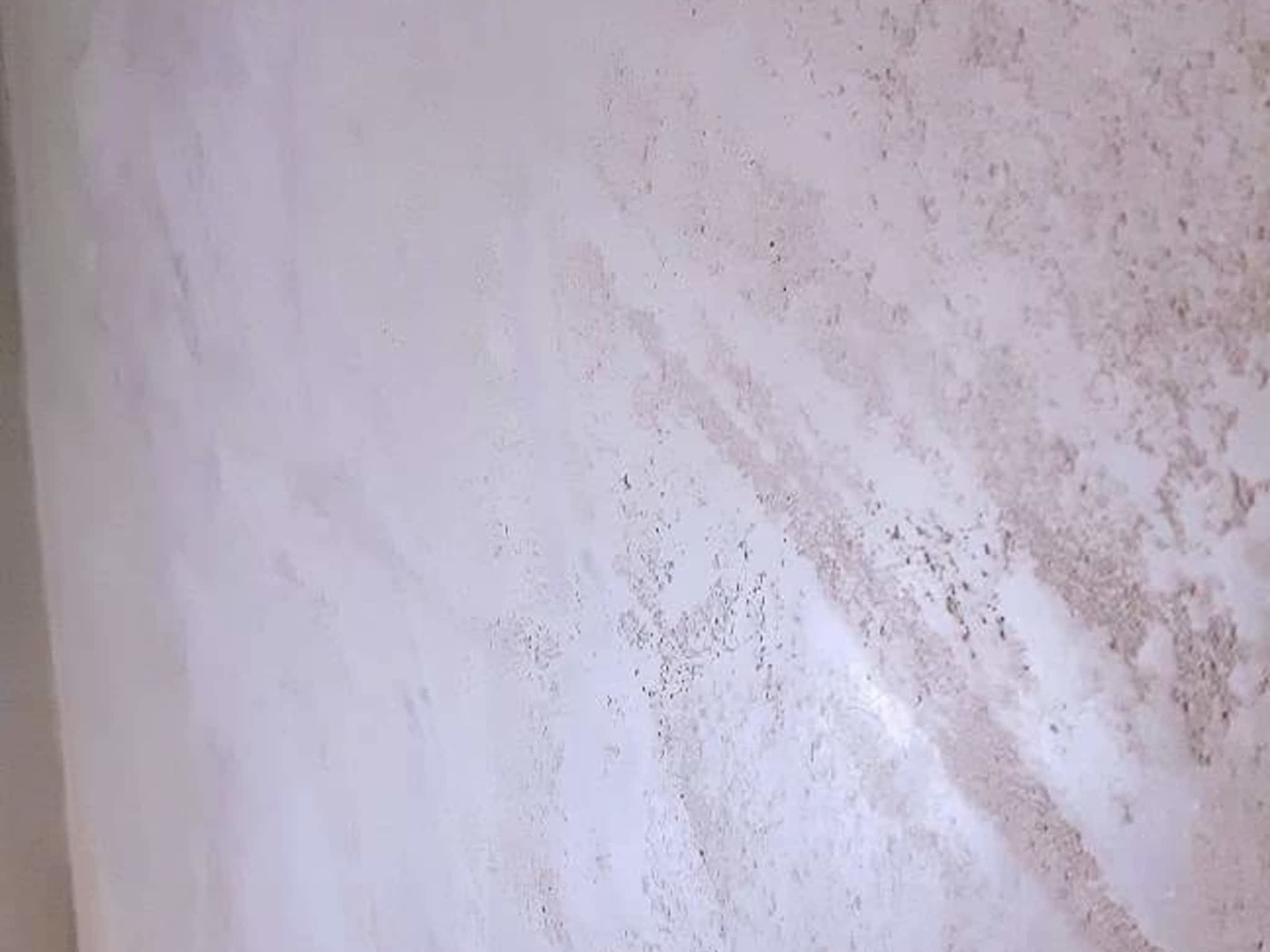 photo Taylor Plastering