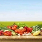 Namaste Indian Cuisine - Restaurants indiens