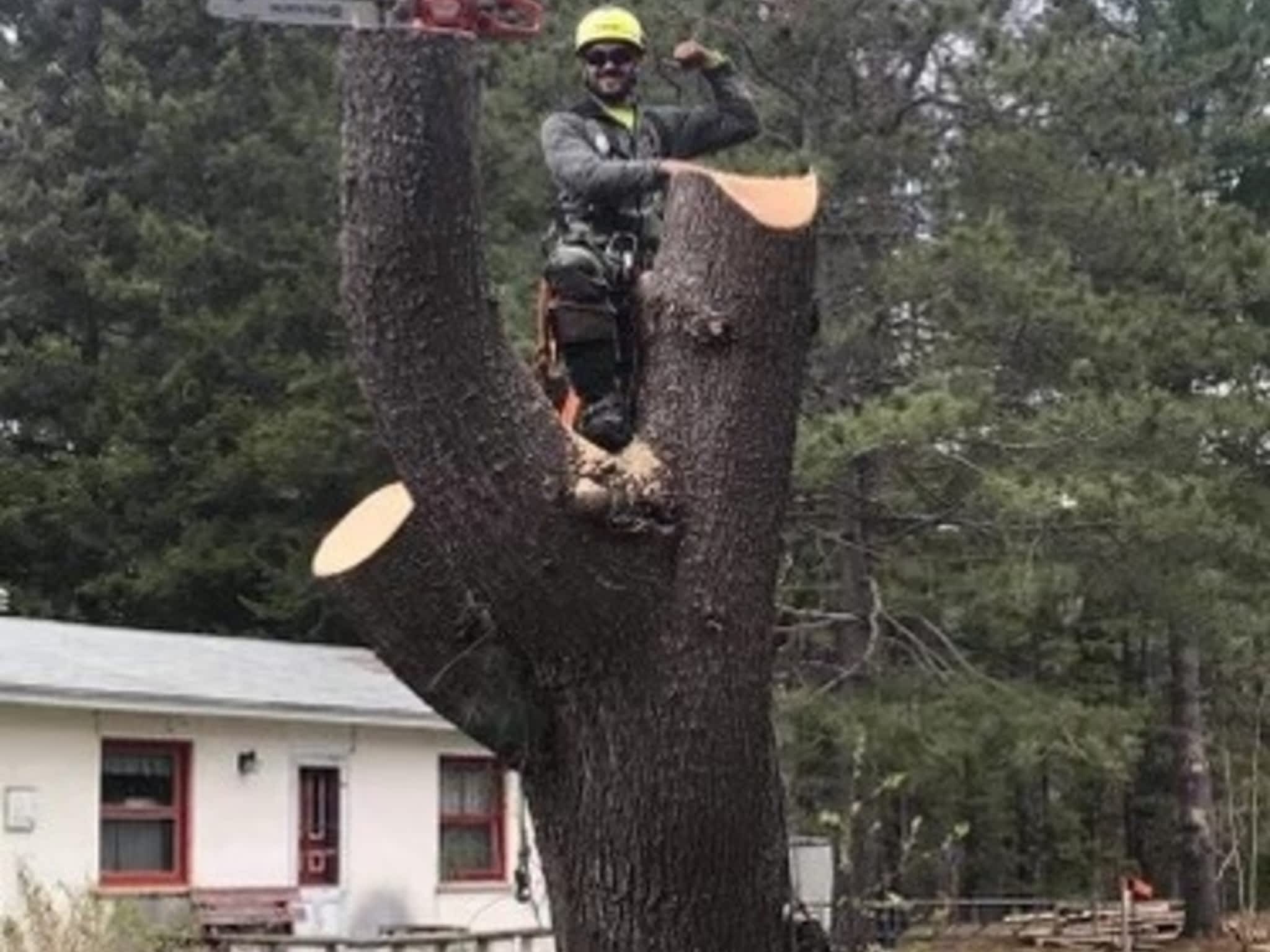 photo JM Arboriculture