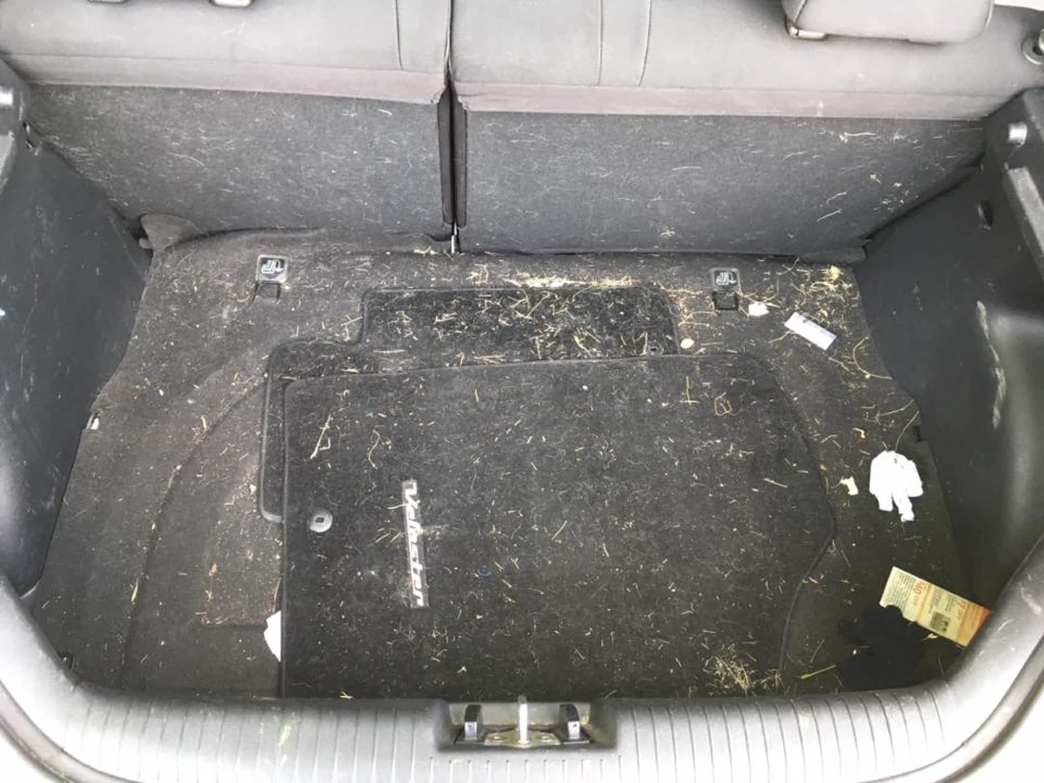 HL Mobile Auto Detailing Peterborough, ON 41835 Cameron St Canpages