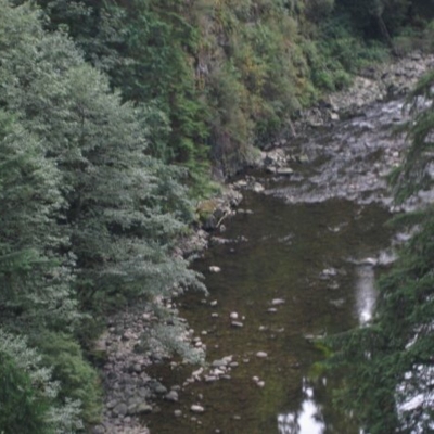 Capilano Suspension Bridge Park - Attractions touristiques