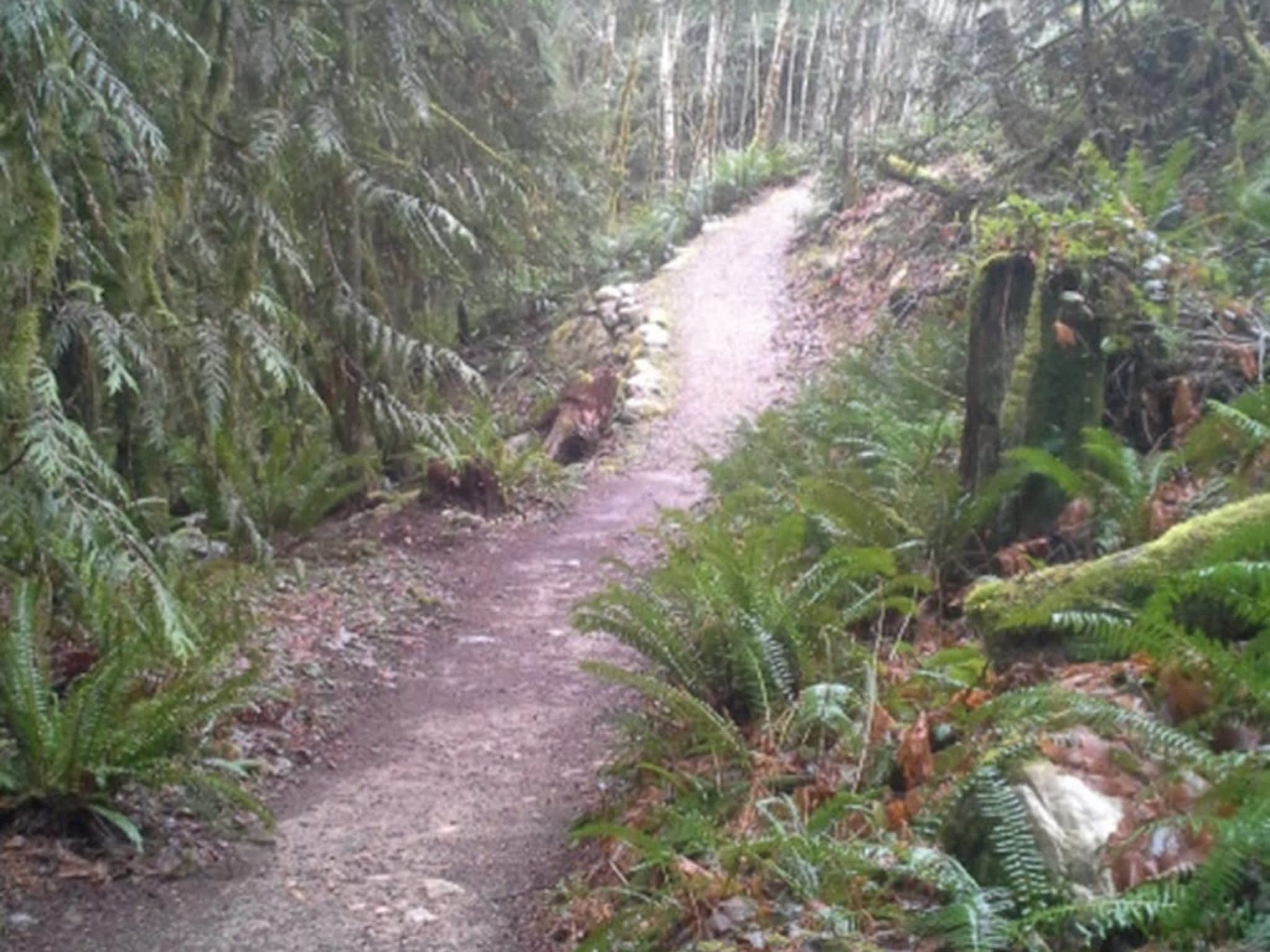 photo Small World Excavating