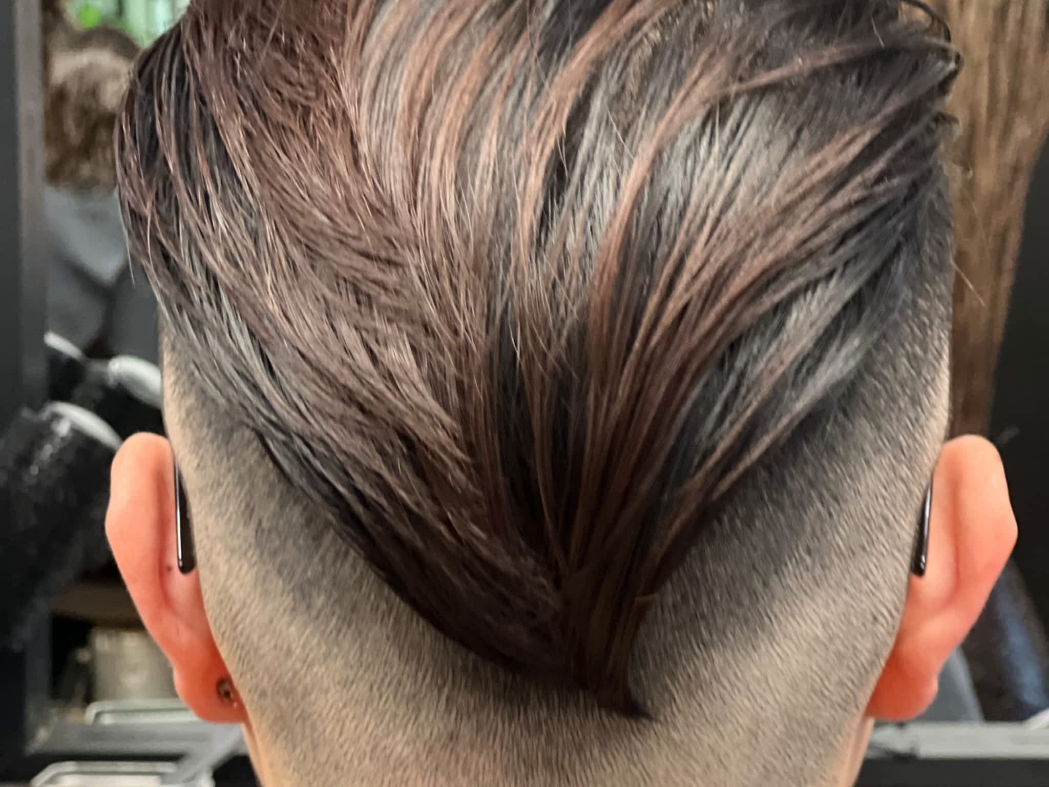 photo HIP- Hairs In Place Cont'd