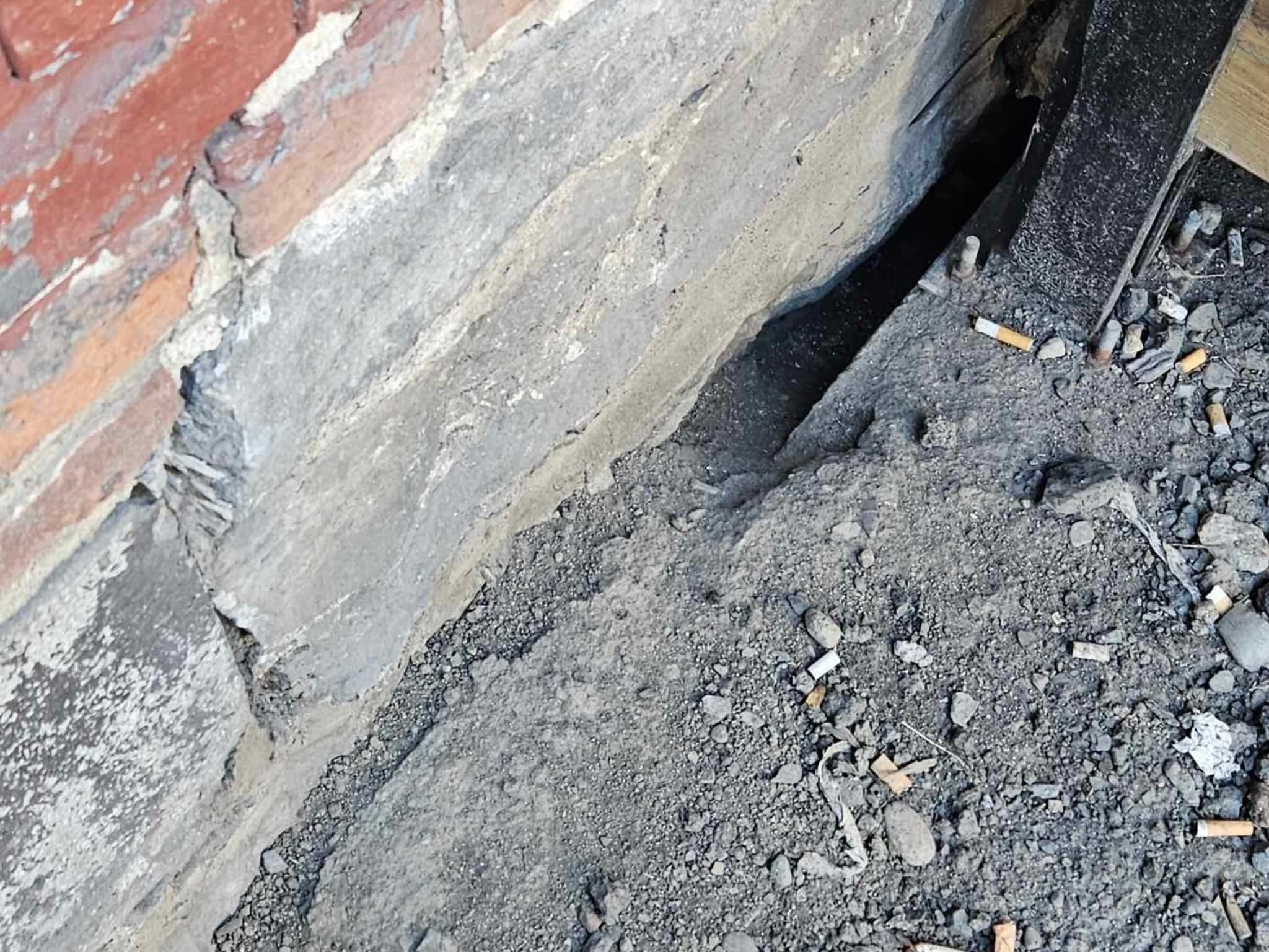 photo D Solution Extermination