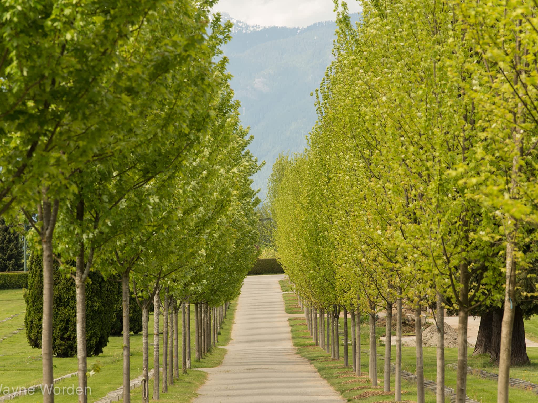 photo Mountain View Cemetery