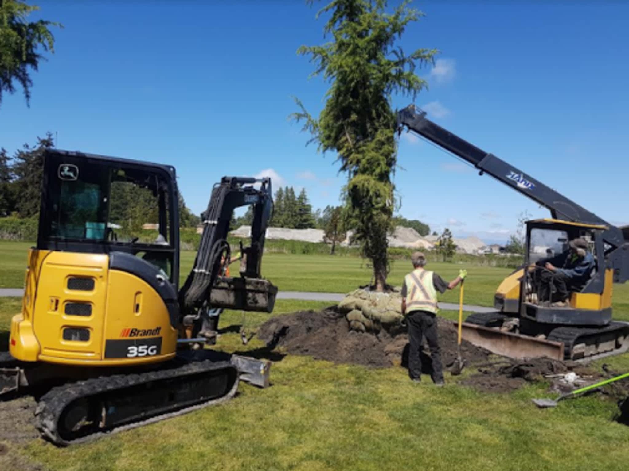 photo Maple Leaf Tree Movers Ltd