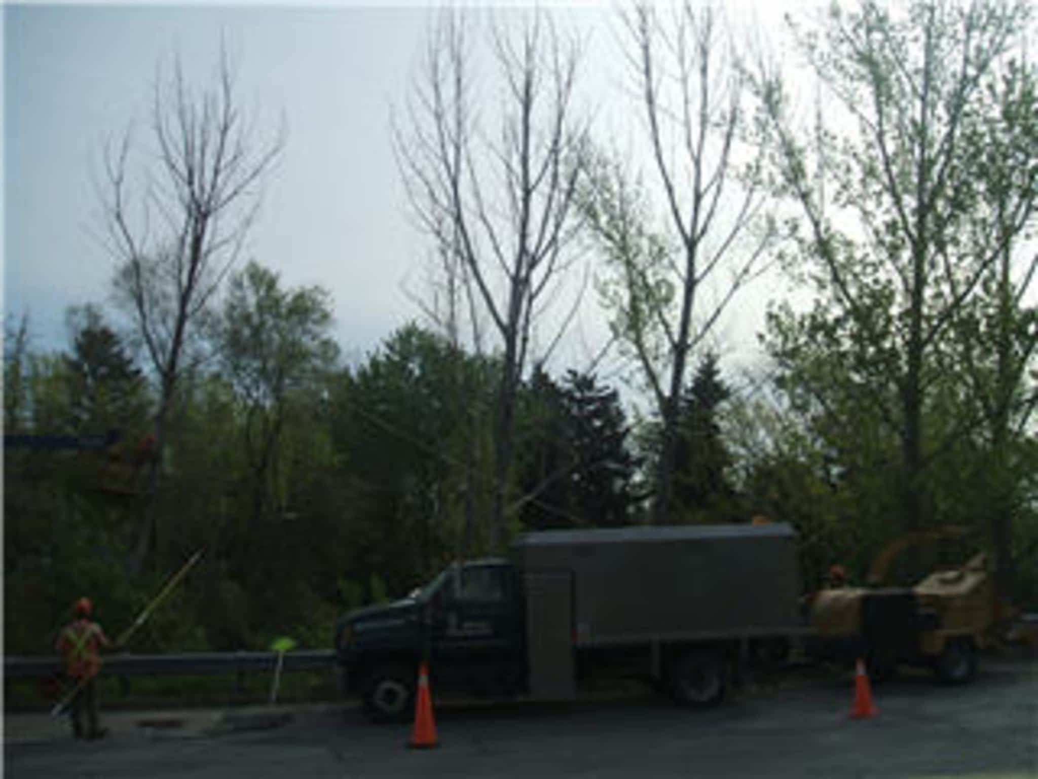 photo Quality Tree Service