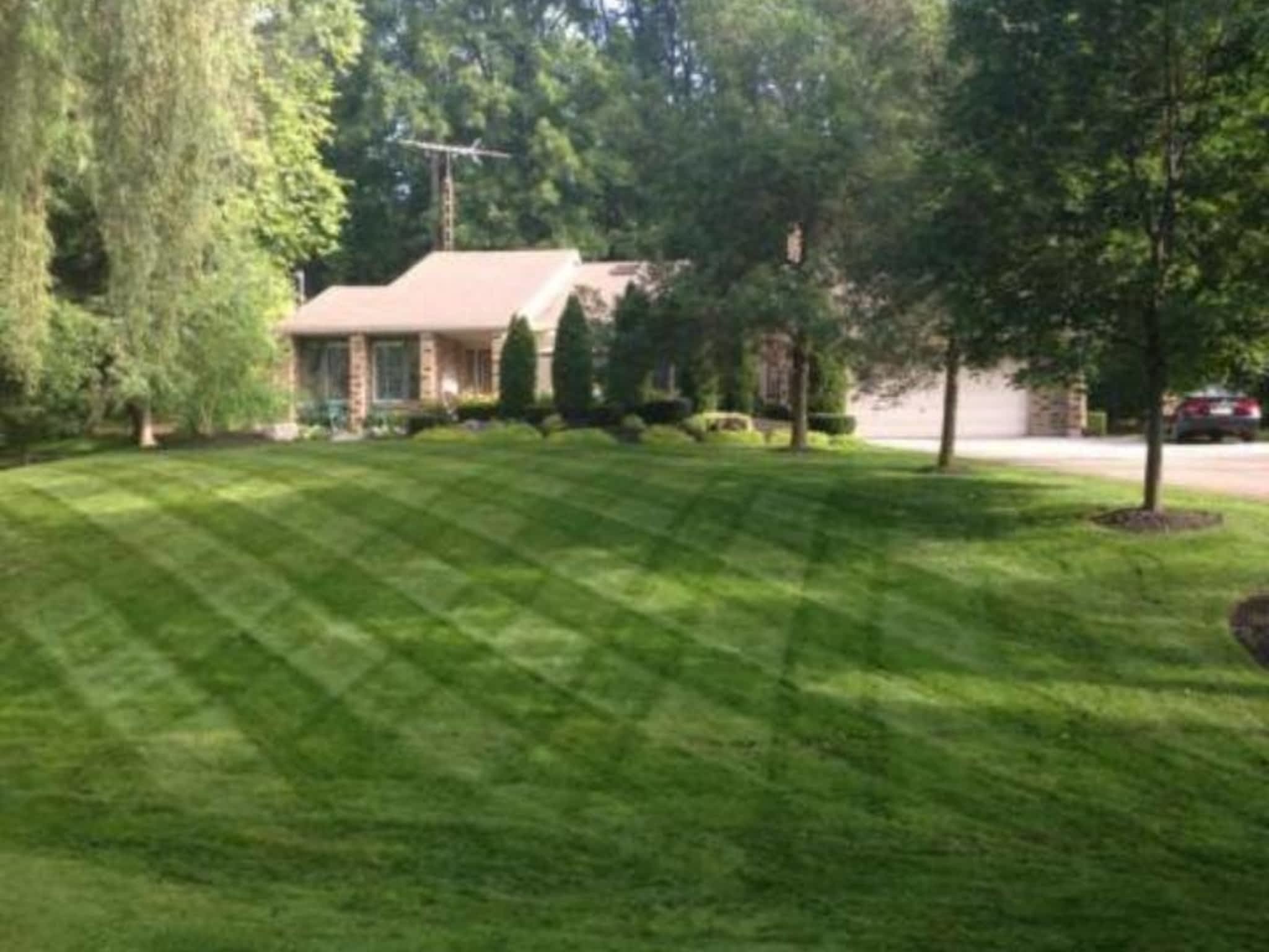 photo Bladerunner Inc.