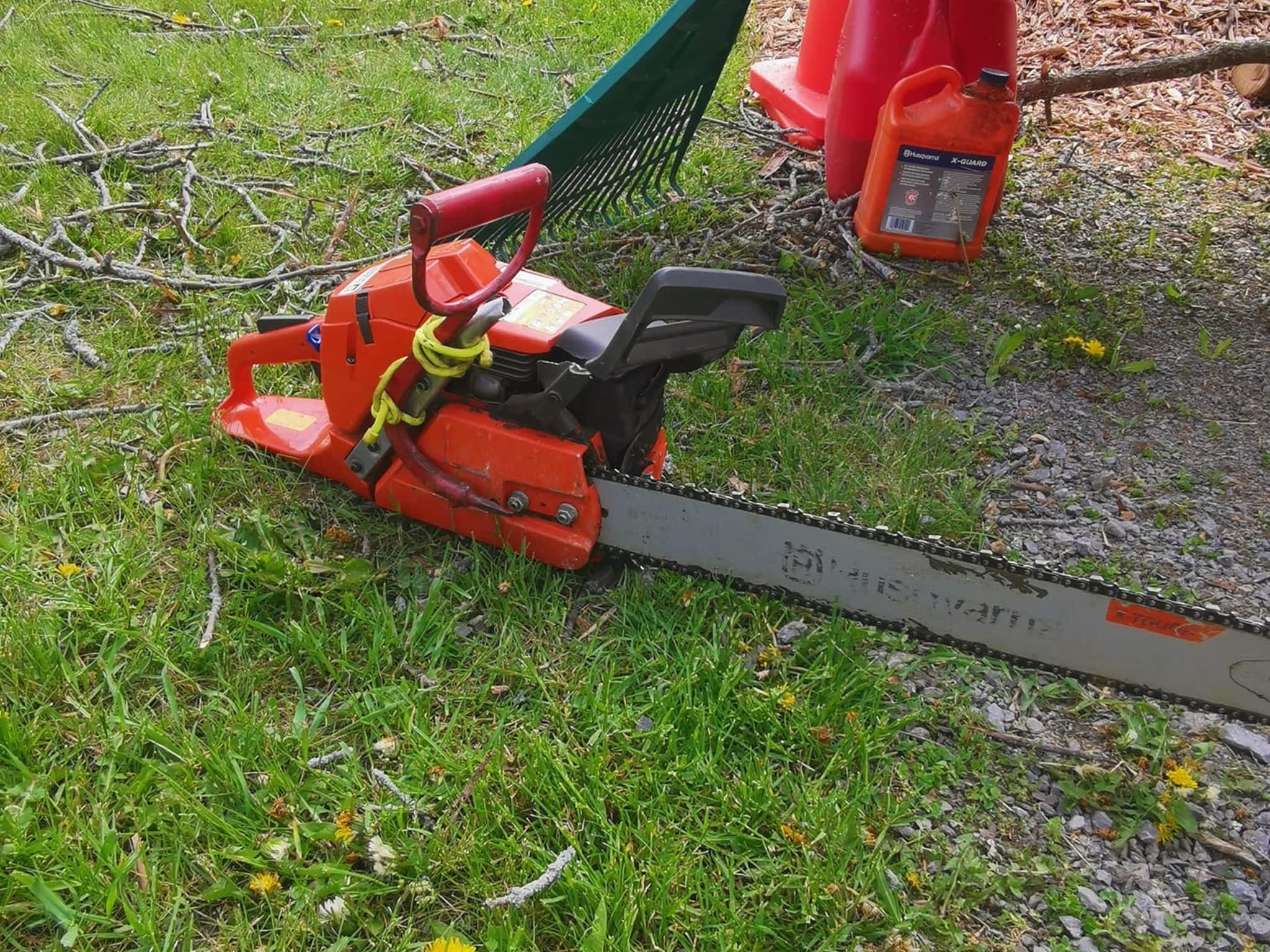 photo Billy Wright Forestry Service