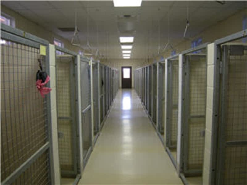 Abbey Lane Kennels Milton, ON 1093 Lower Base Line Canpages