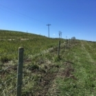 Borderline Fencing Ltd - Fences