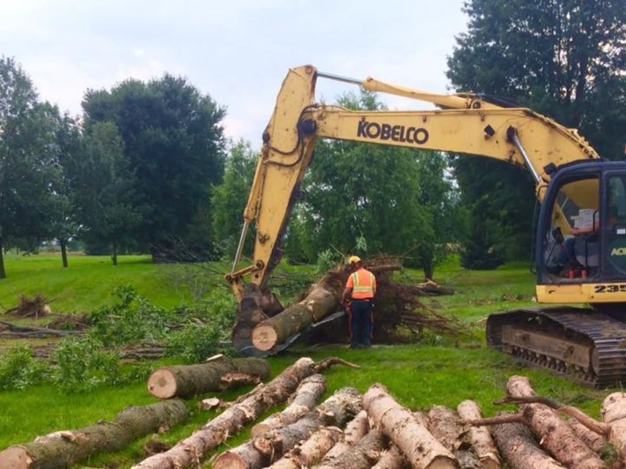 photo Redneck Tree Removal