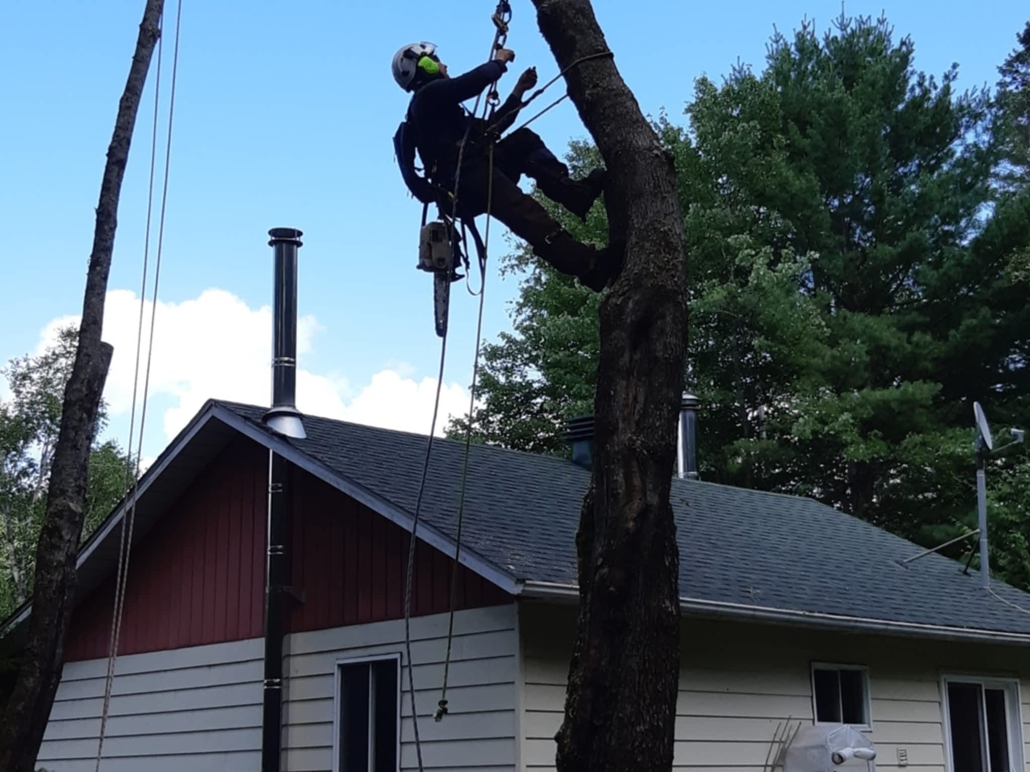 photo Arbo-douceur inc