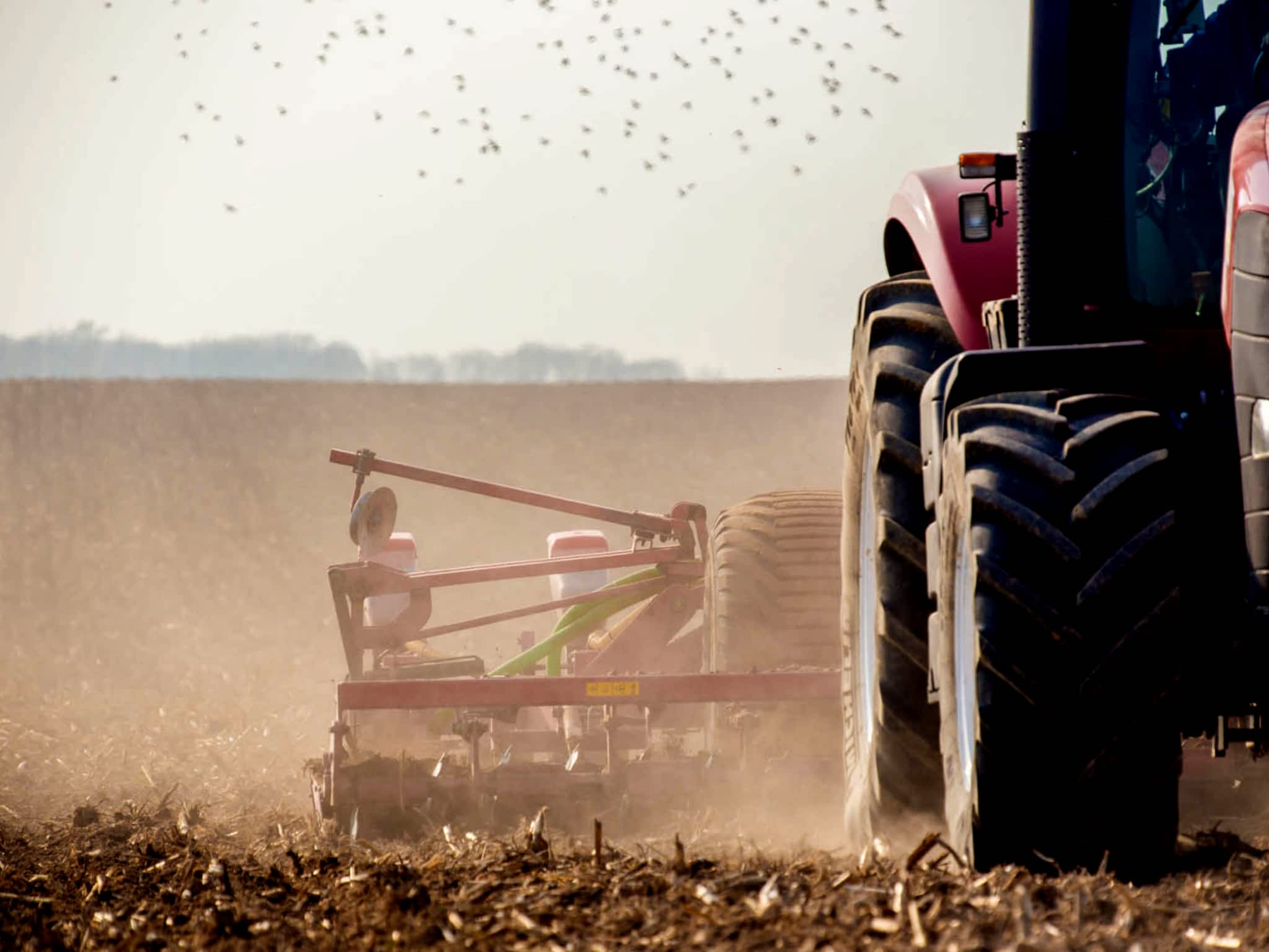 photo Larry Morse Electric