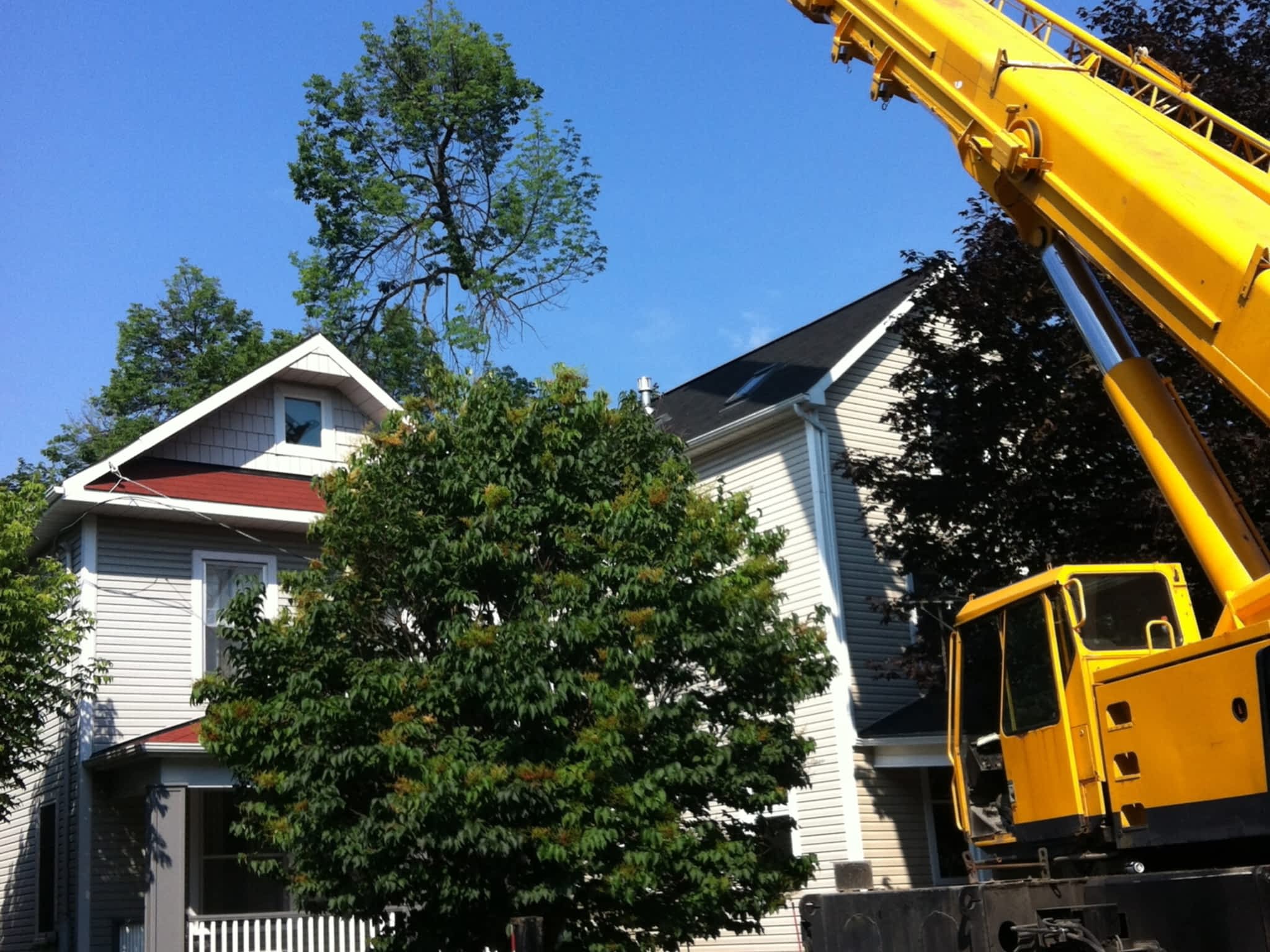 photo Fisher Tree Services