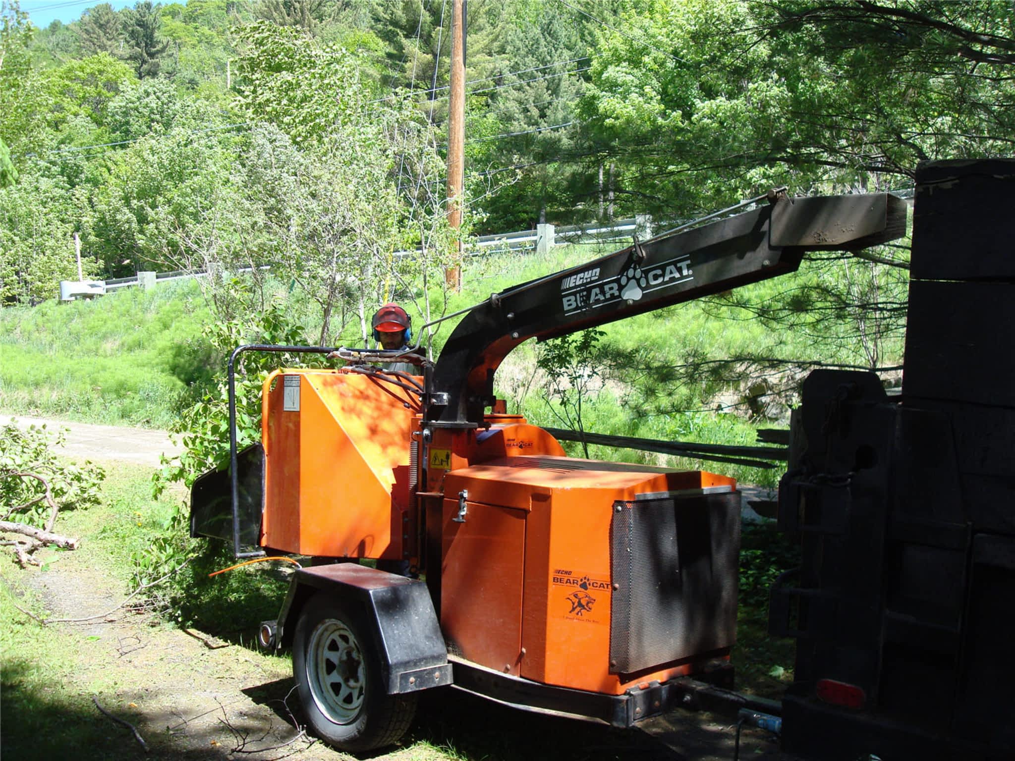 photo COOP de l'Arbre