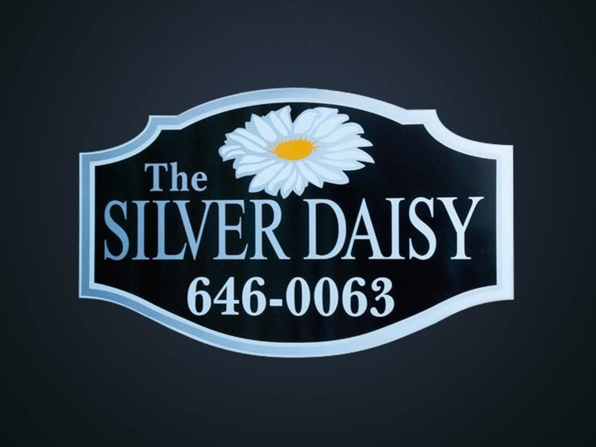 photo The Silver Daisy