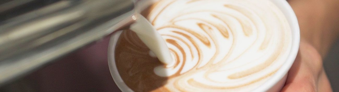 Where to get your caffeine fix in Montreal