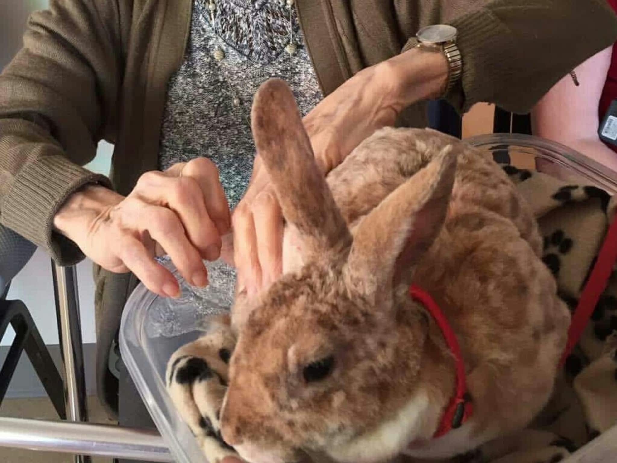 photo Services d'Interventions Mélissa Robitaille