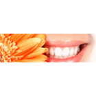 Clinique Dentaire Bibeau - Logo