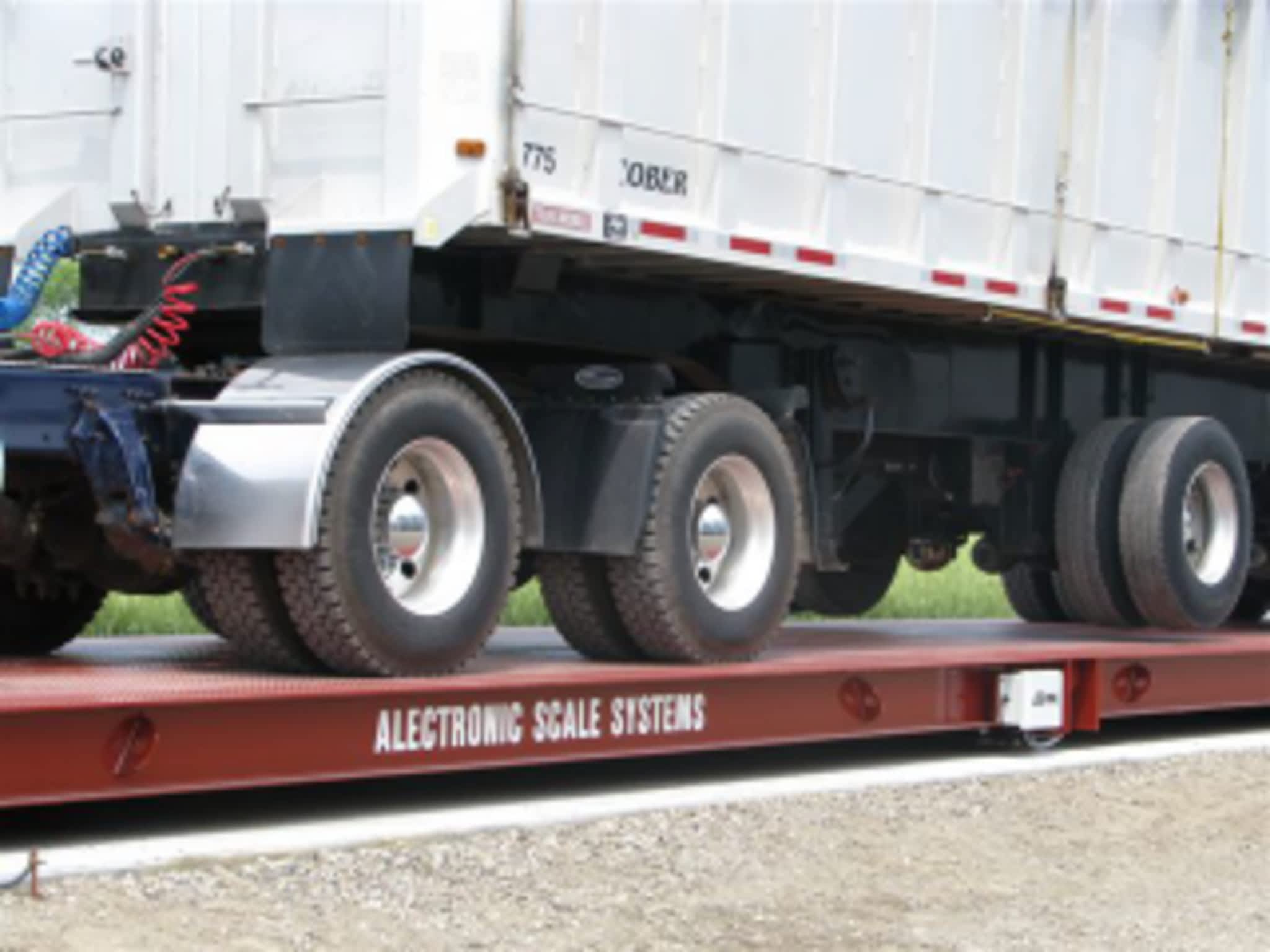 photo Alectronic Scale Systems Inc