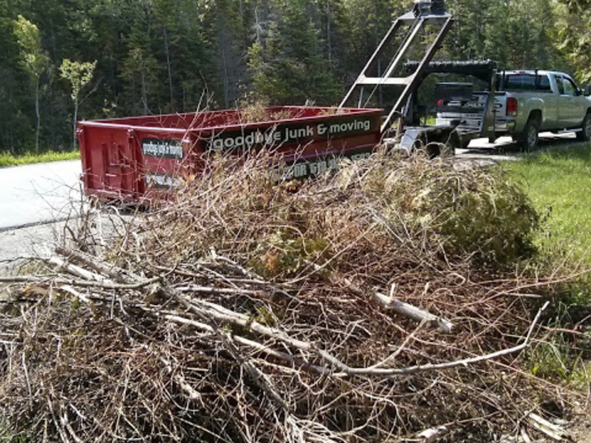 photo Goodbye Junk Cleanup & Bin Rental Services