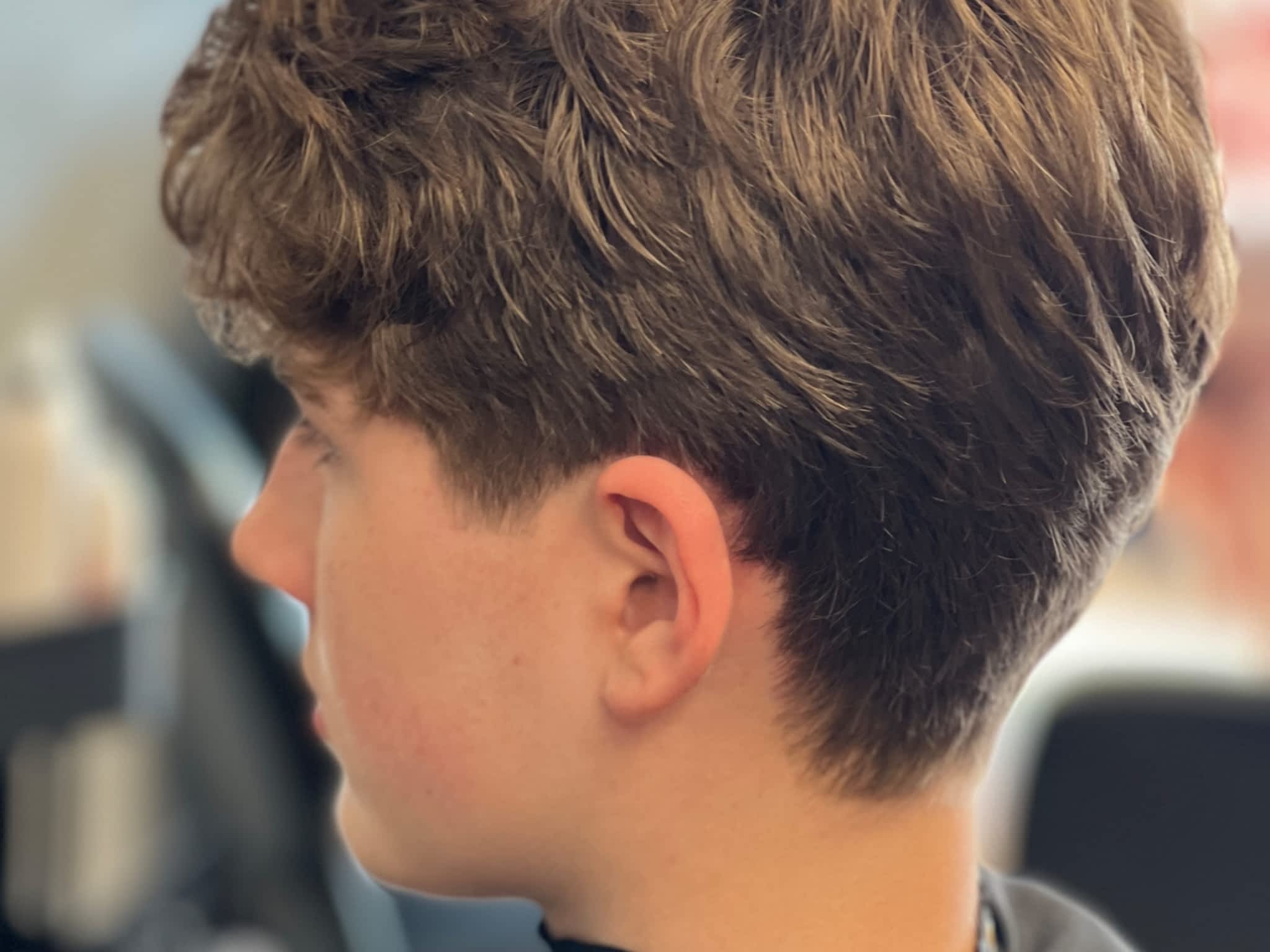photo HIP- Hairs In Place Cont'd