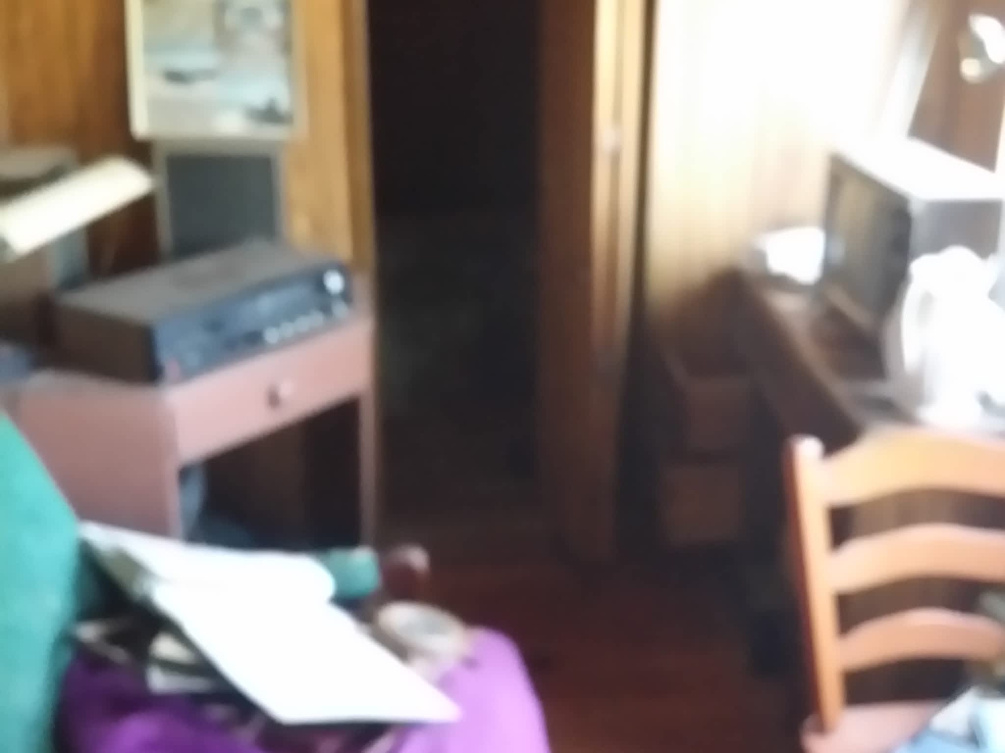 photo Goodbye Junk Cleanup & Bin Rental Services