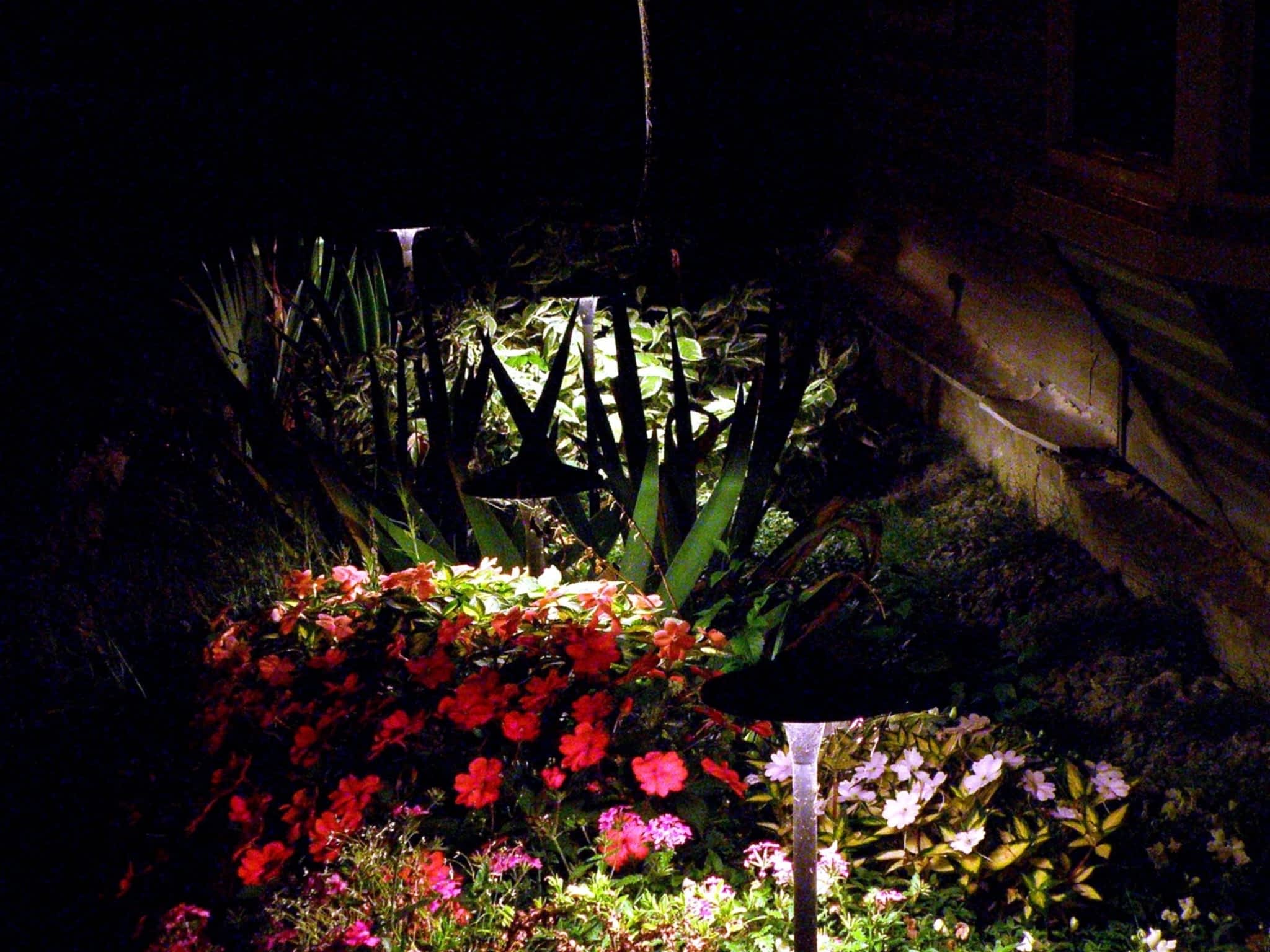 photo Illustrious Irrigation and Landscape Lighting